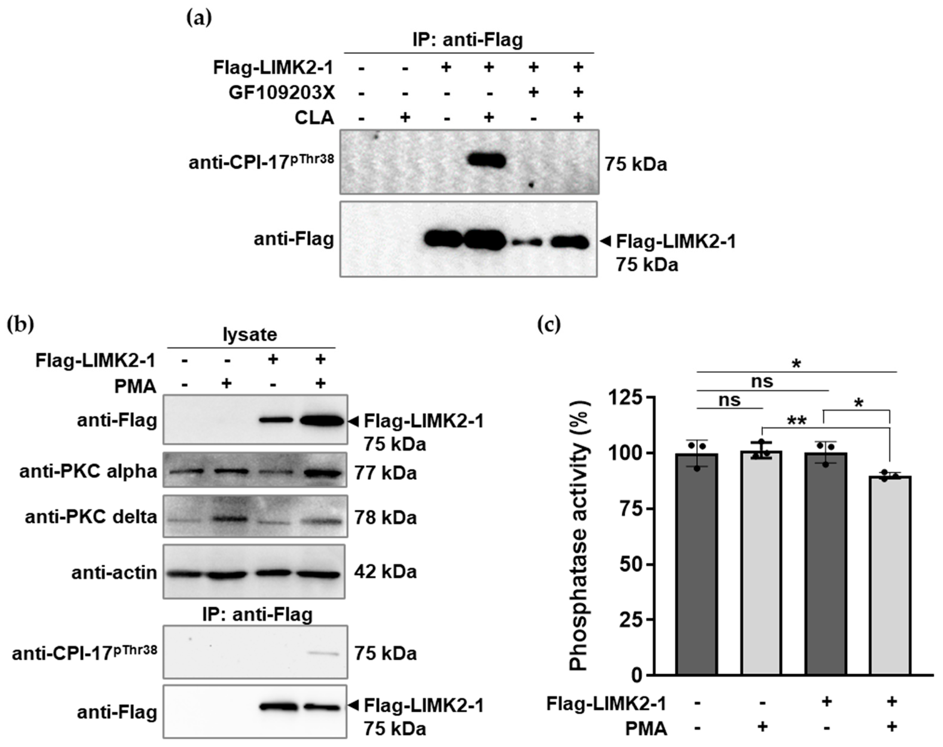 Ijms 26 07347 g003 Ijms 26 07347 g003