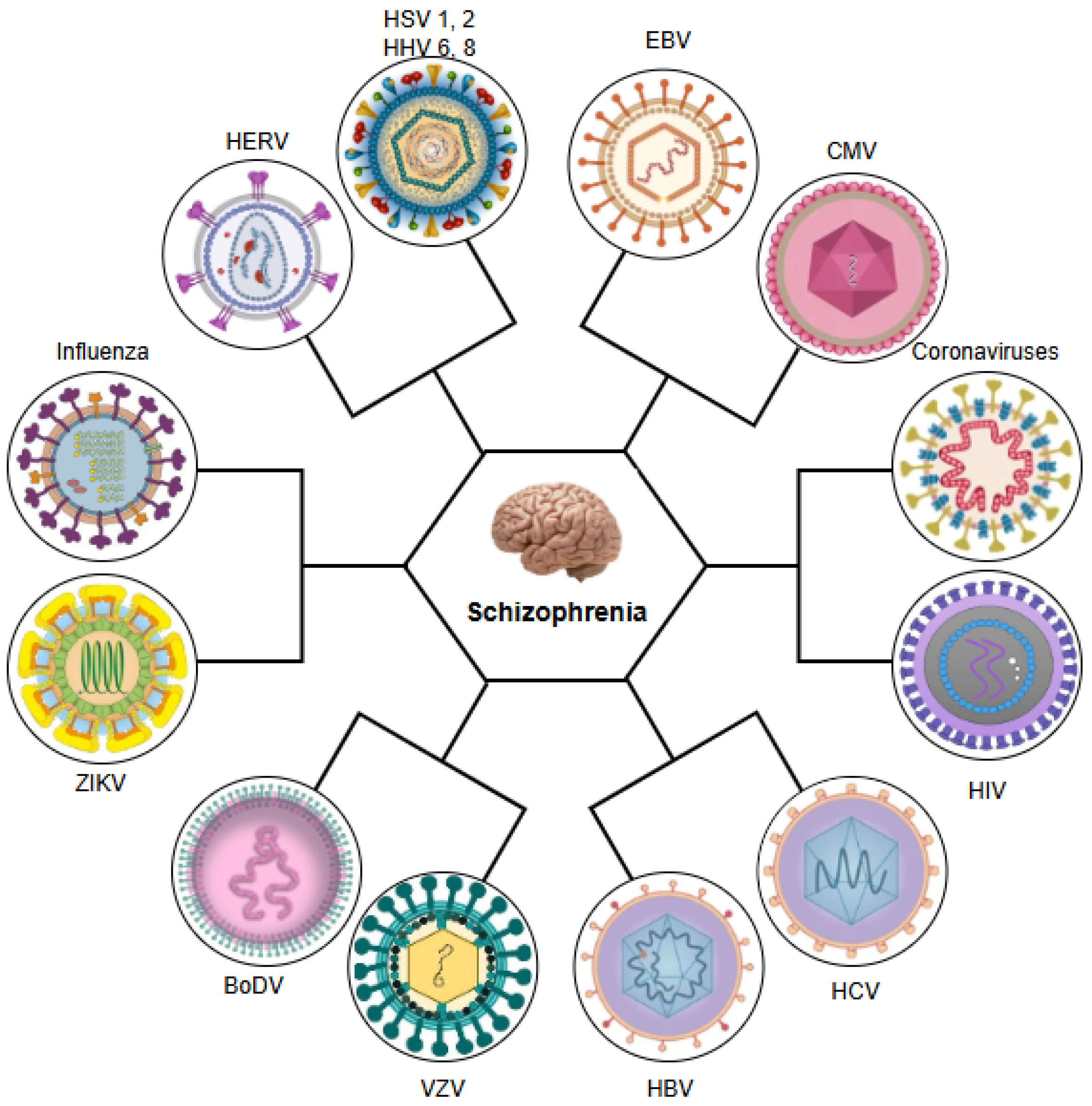 Ijms 26 07429 g001 Ijms 26 07429 g001