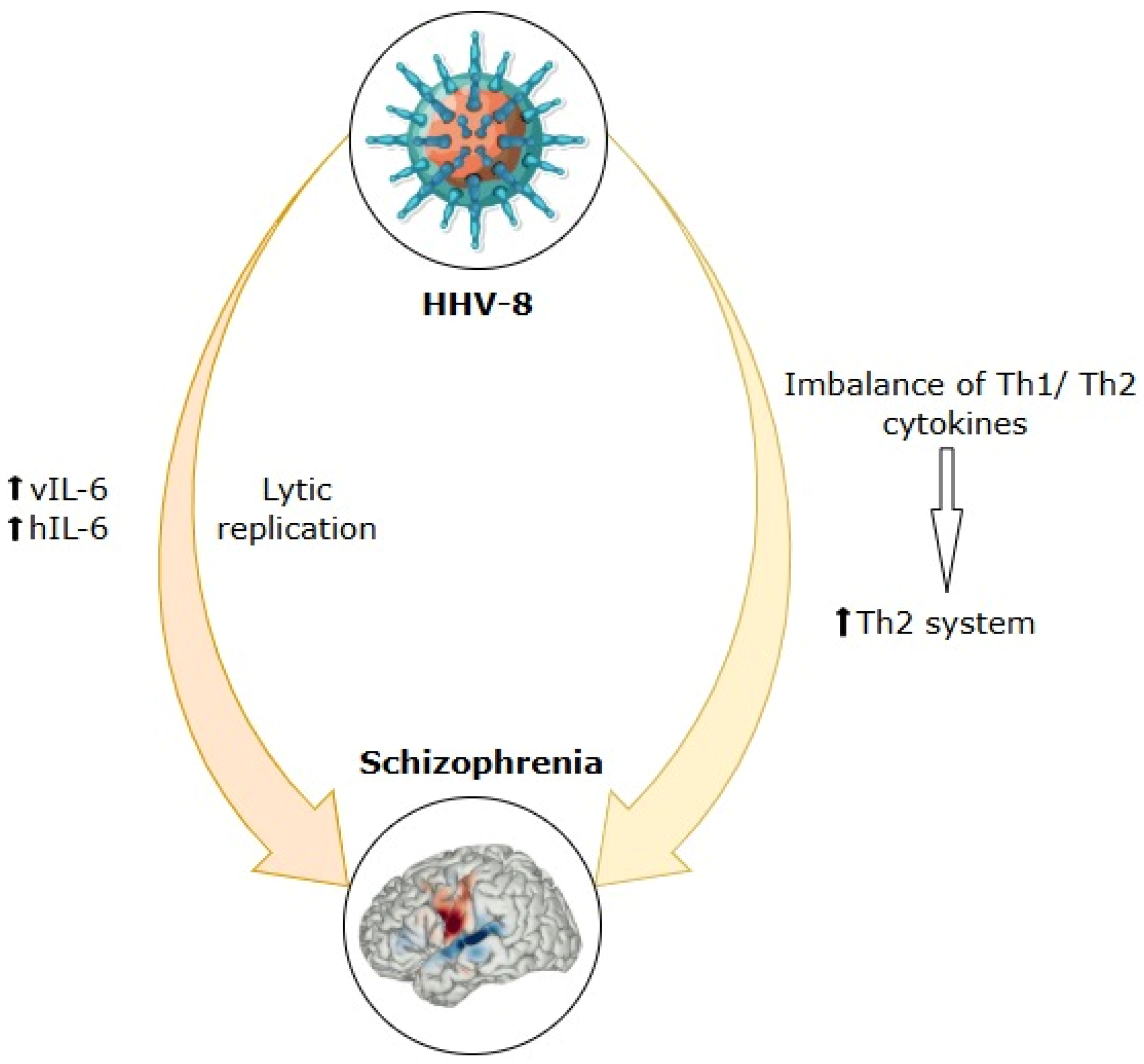 Ijms 26 07429 g003 Ijms 26 07429 g003