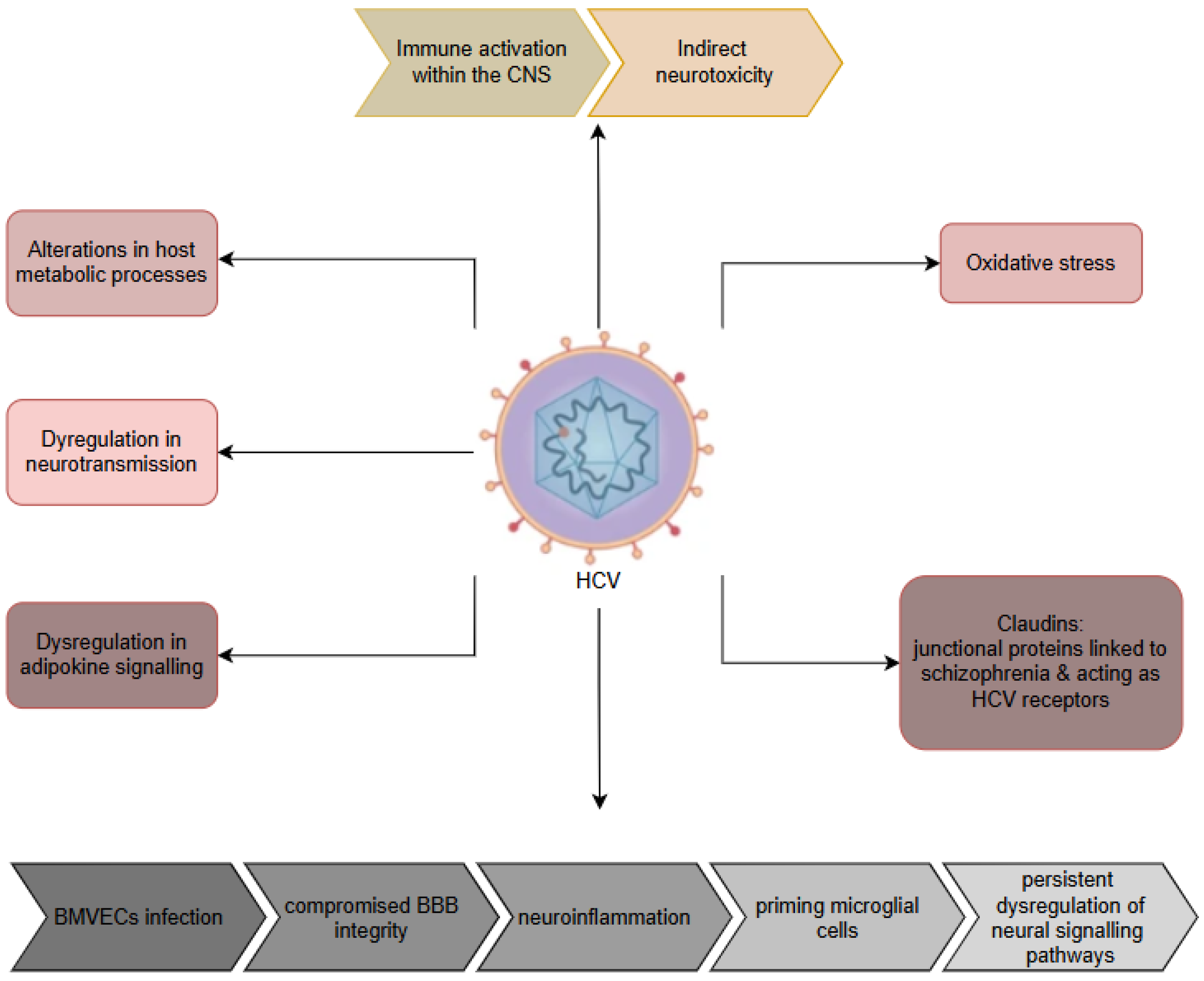 Ijms 26 07429 g004 Ijms 26 07429 g004
