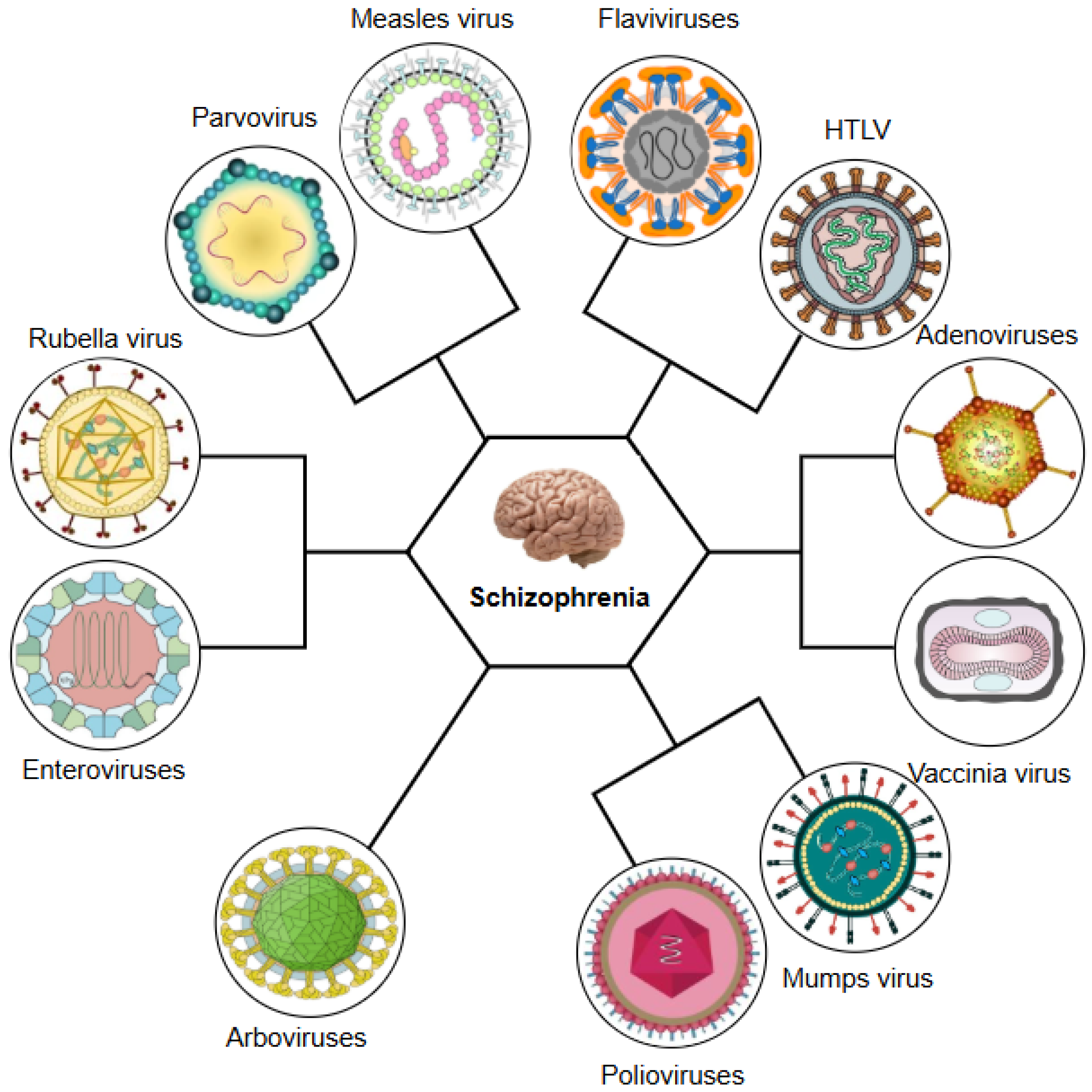 Ijms 26 07429 g007 Ijms 26 07429 g007