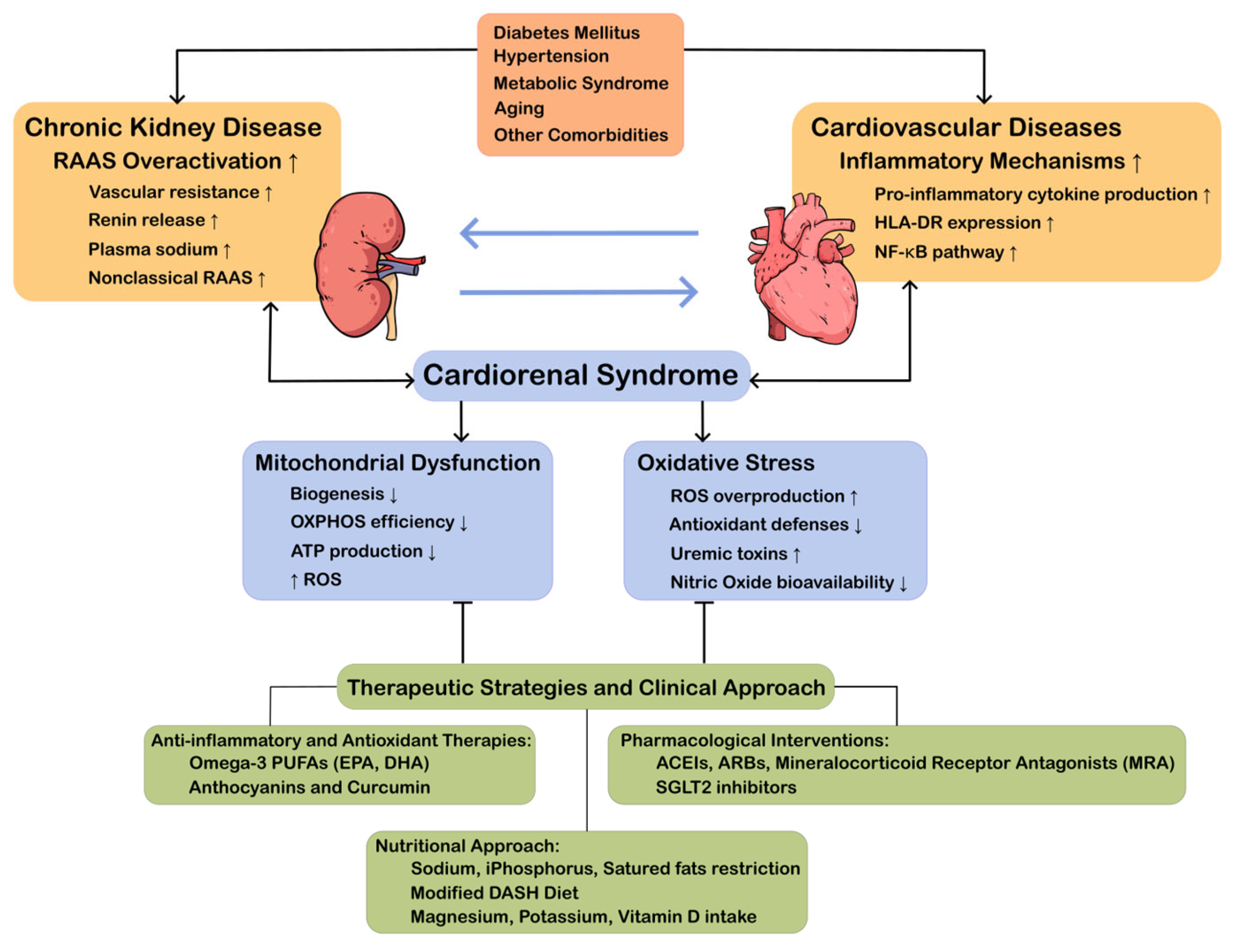 Ijms 26 07440 g001 Ijms 26 07440 g001