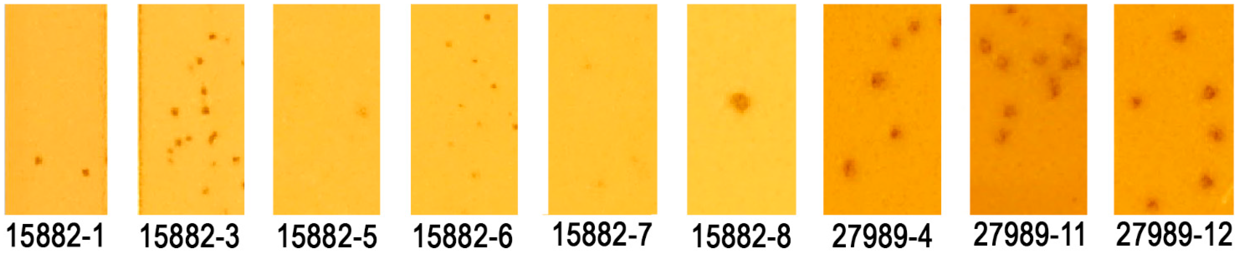 Ijms 26 07597 g001 Ijms 26 07597 g001