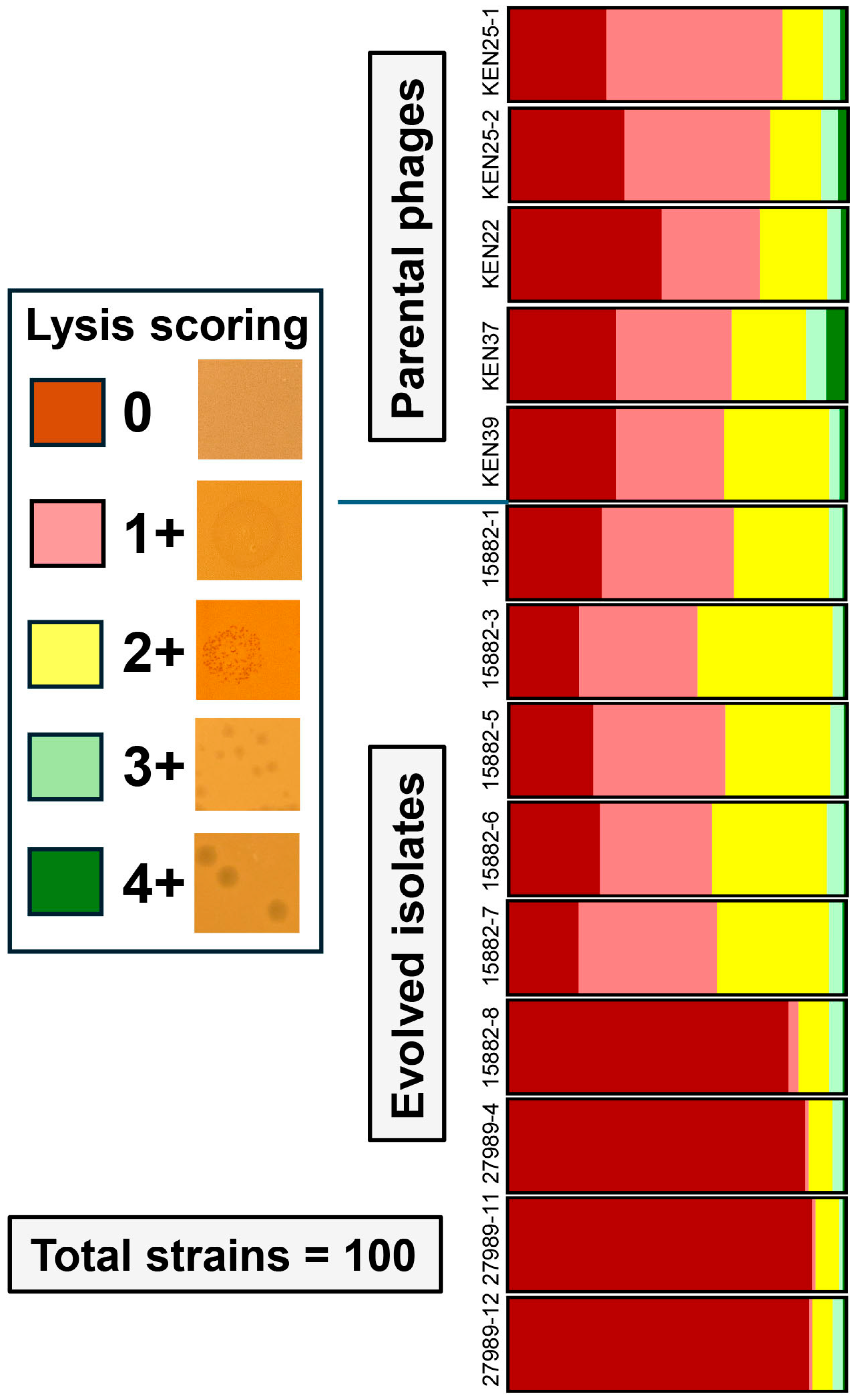 Ijms 26 07597 g002 Ijms 26 07597 g002