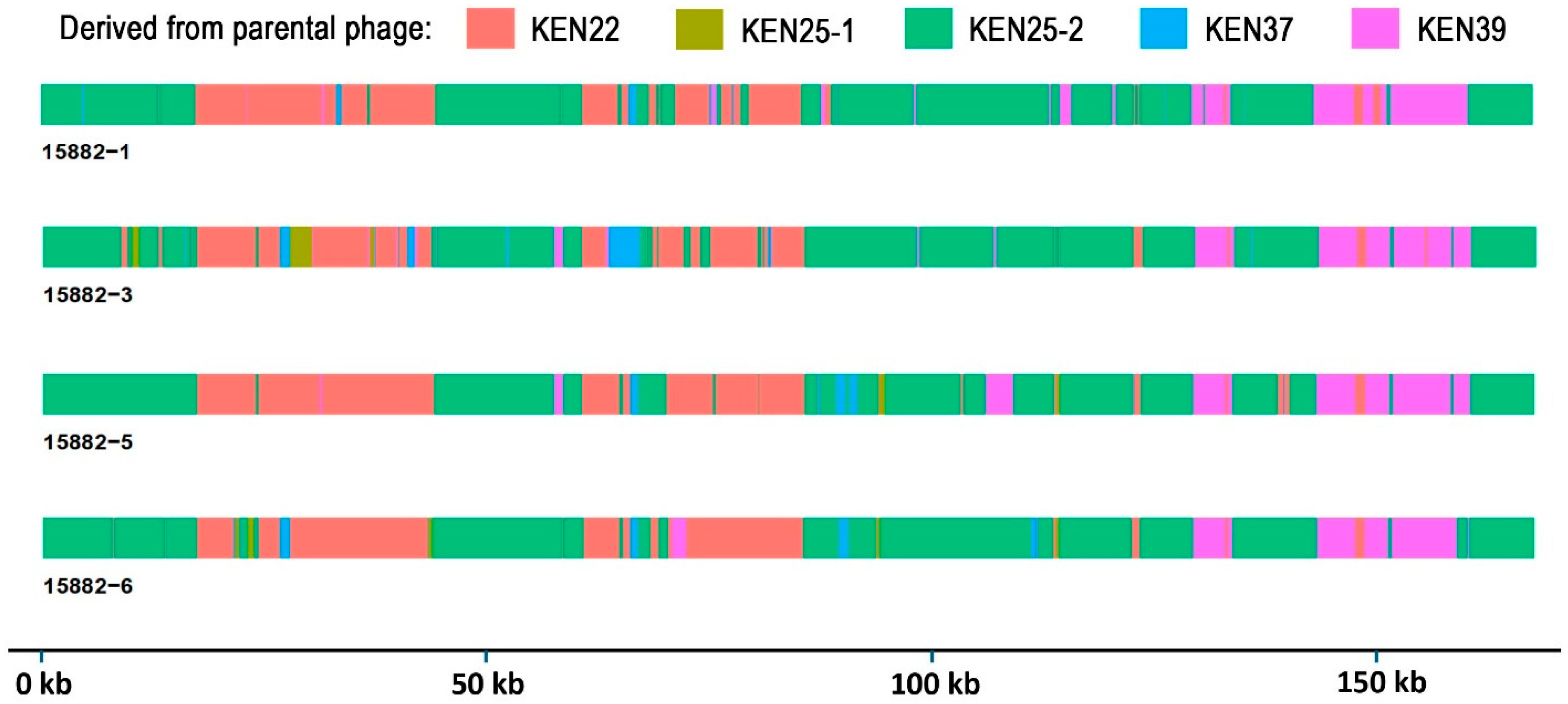 Ijms 26 07597 g005 Ijms 26 07597 g005