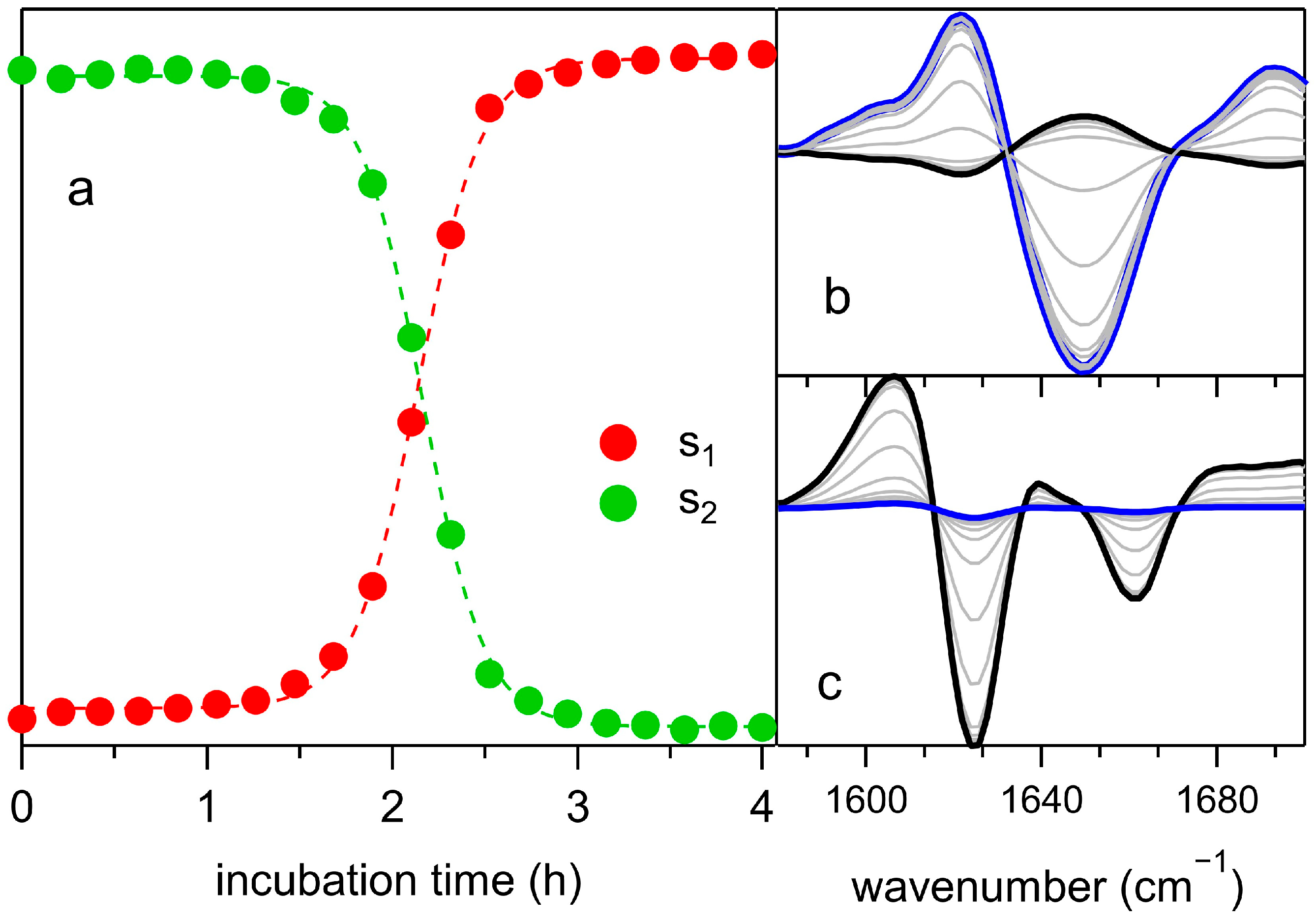 Ijms 26 07599 g005 Ijms 26 07599 g005