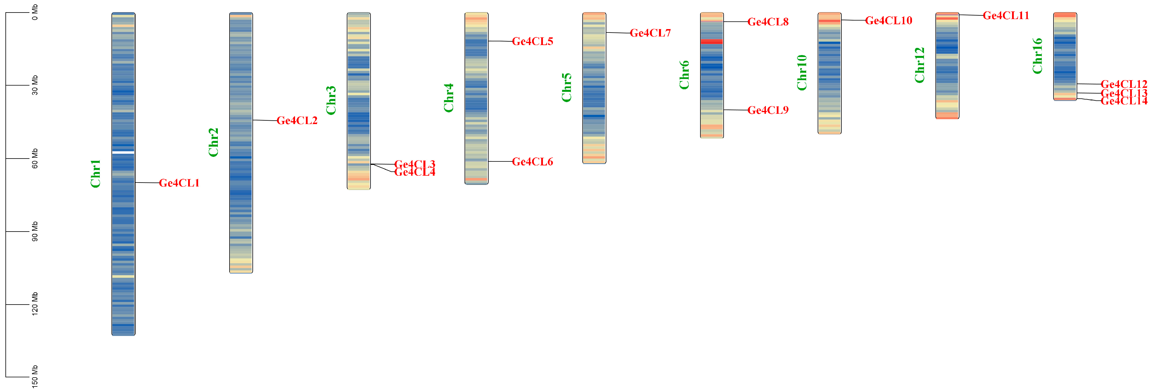 Ijms 26 07610 g001 Ijms 26 07610 g001