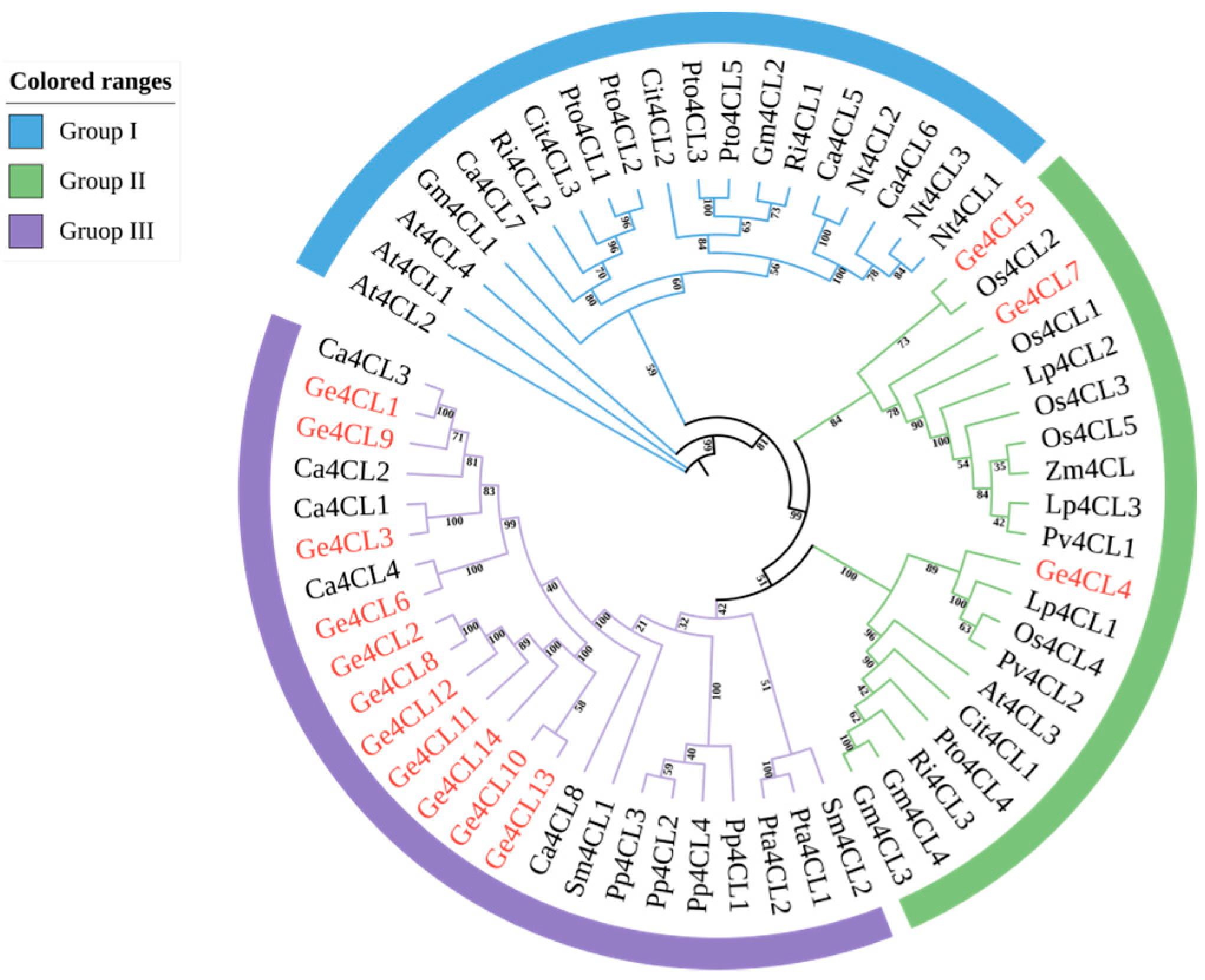 Ijms 26 07610 g003 Ijms 26 07610 g003
