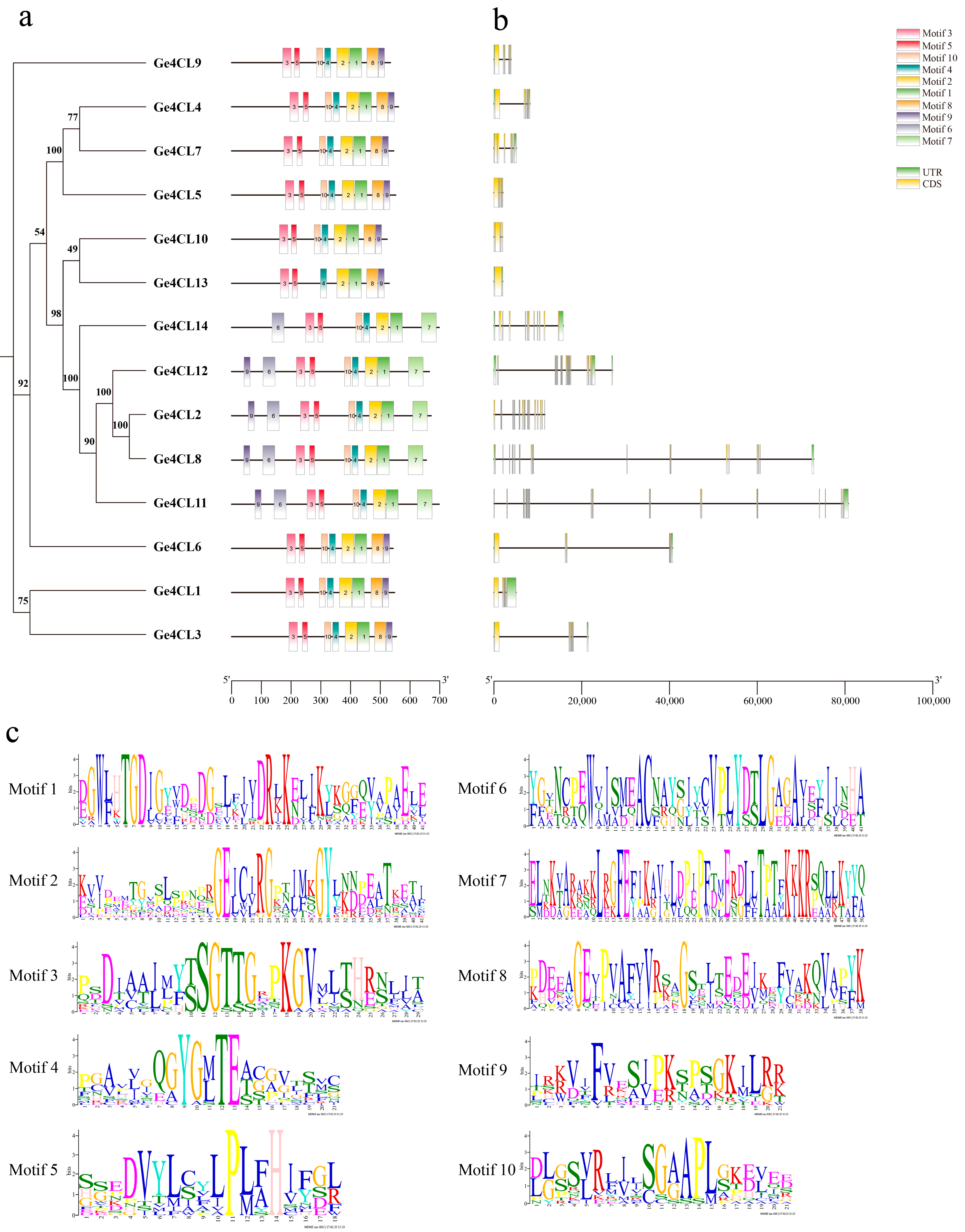 Ijms 26 07610 g004 Ijms 26 07610 g004