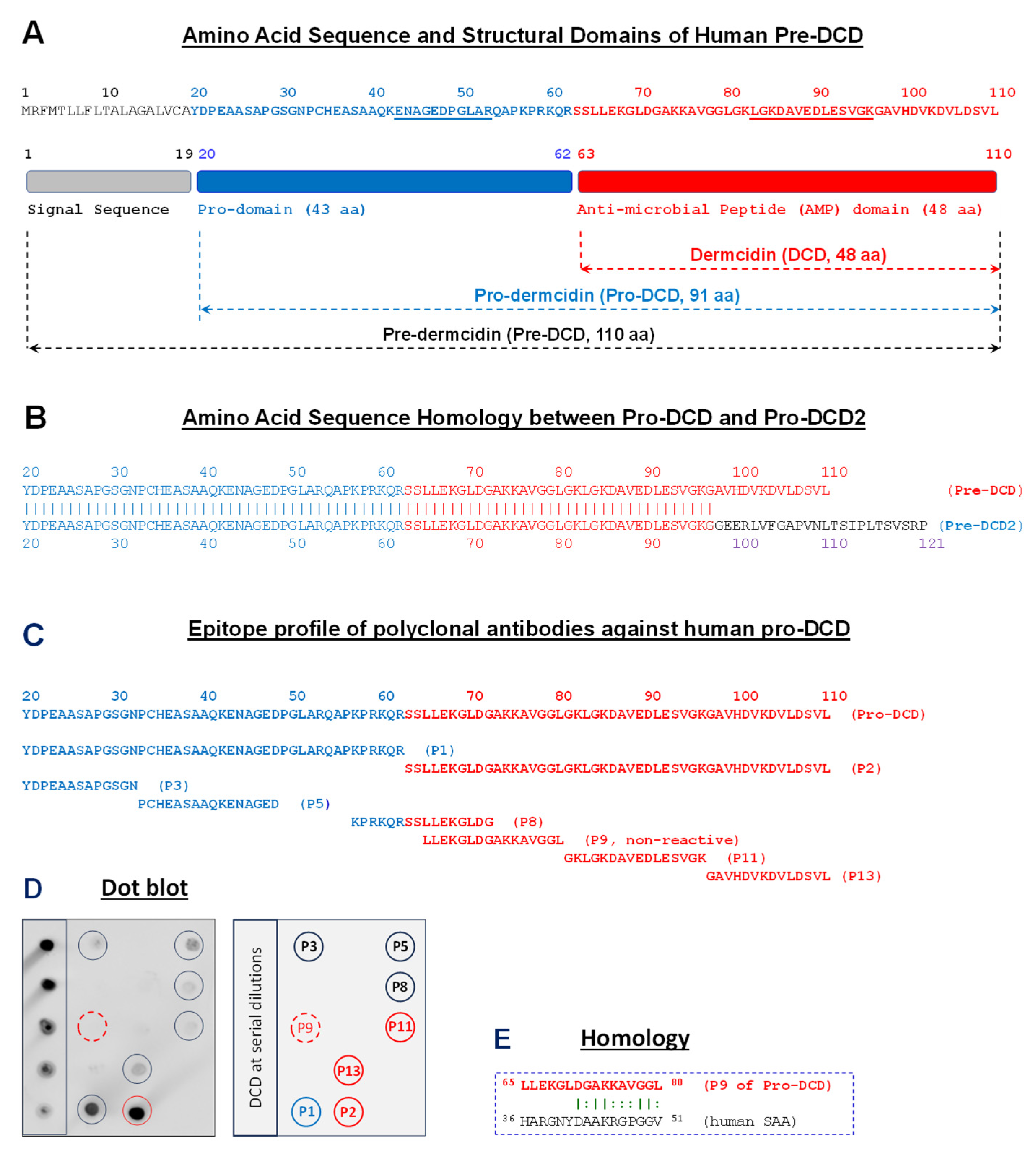 Ijms 26 07643 g001 Ijms 26 07643 g001