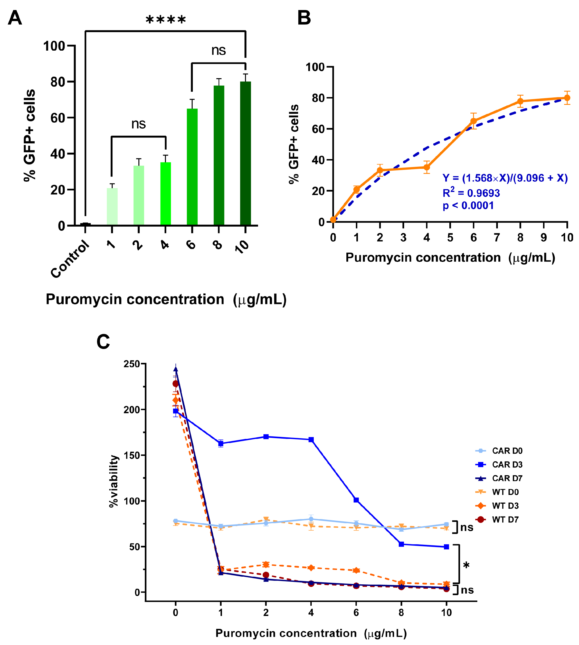 Ijms 26 07648 g002 Ijms 26 07648 g002