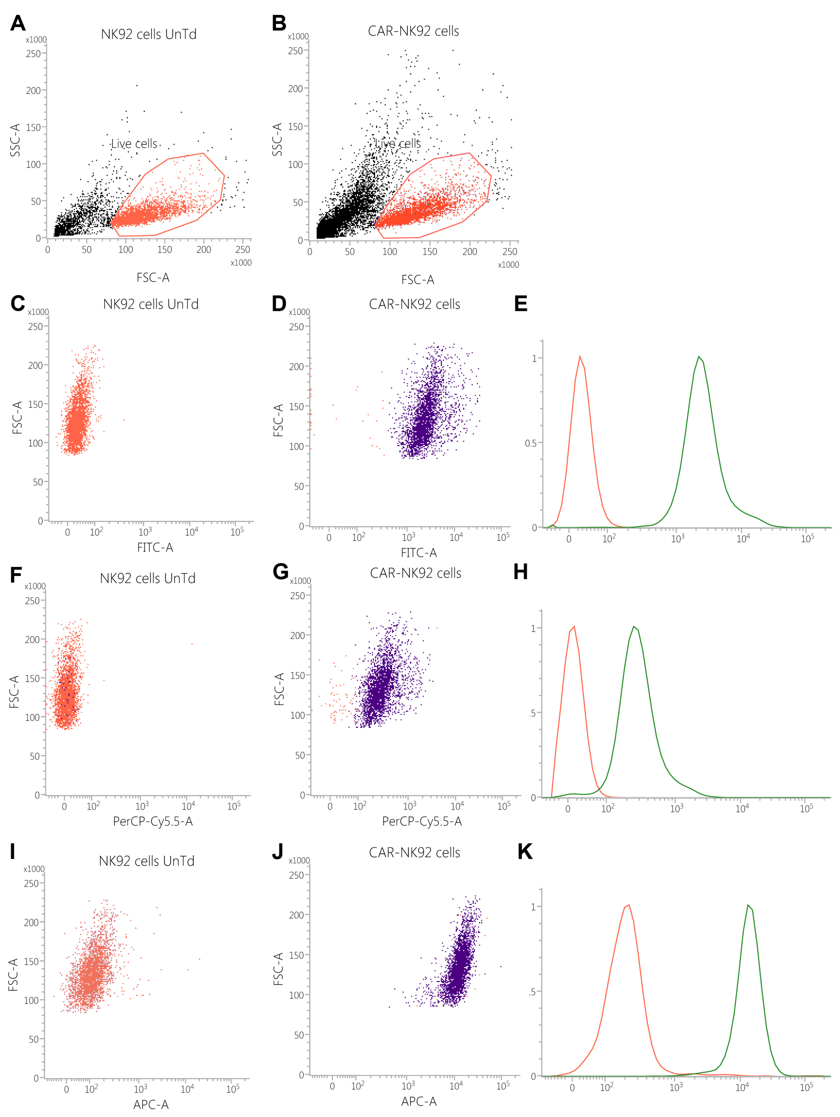 Ijms 26 07648 g004 Ijms 26 07648 g004