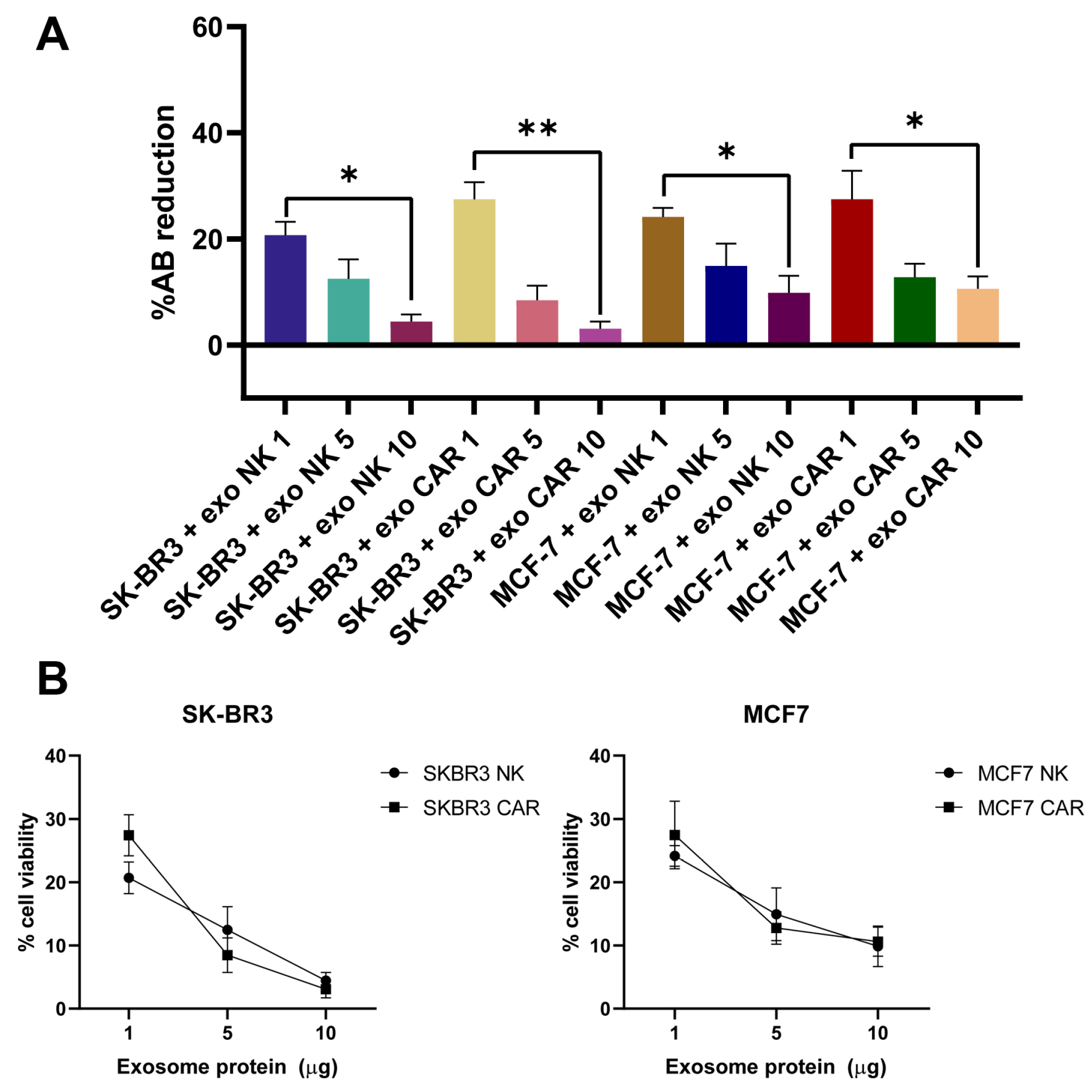 Ijms 26 07648 g011 Ijms 26 07648 g011