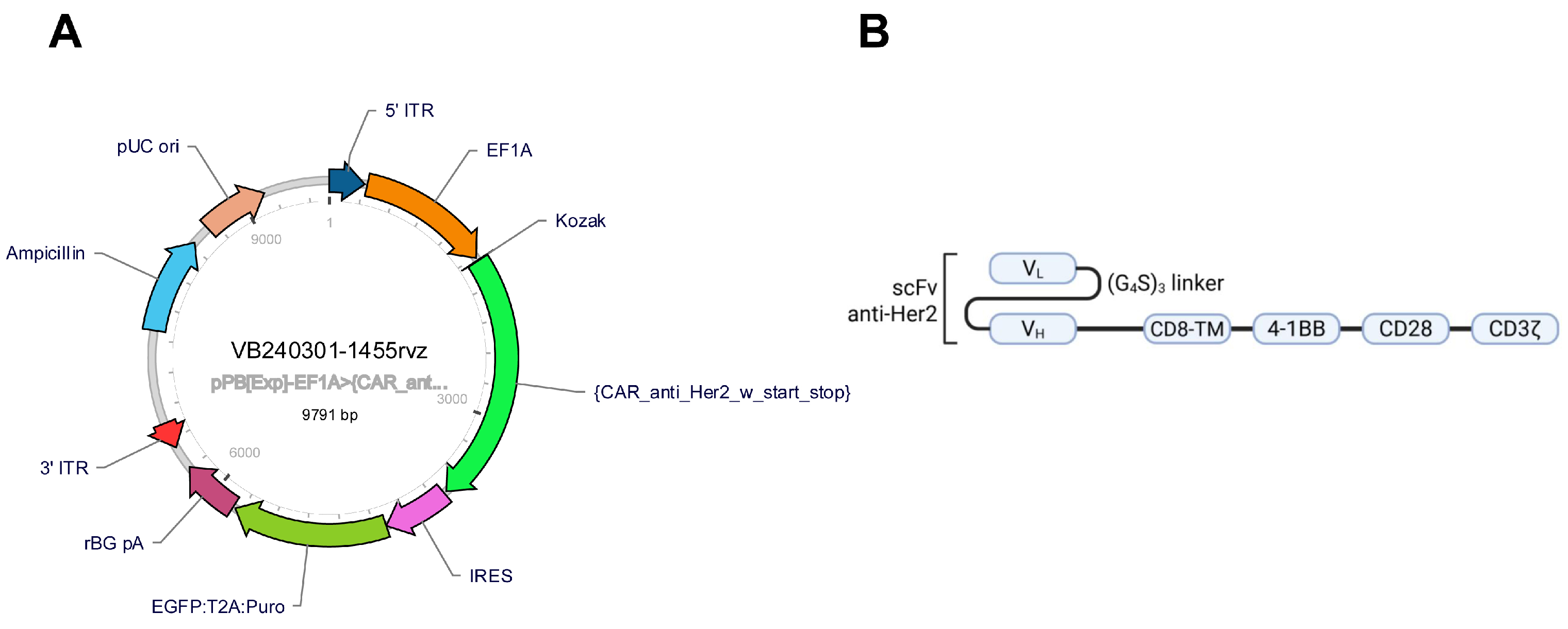 Ijms 26 07648 g014 Ijms 26 07648 g014
