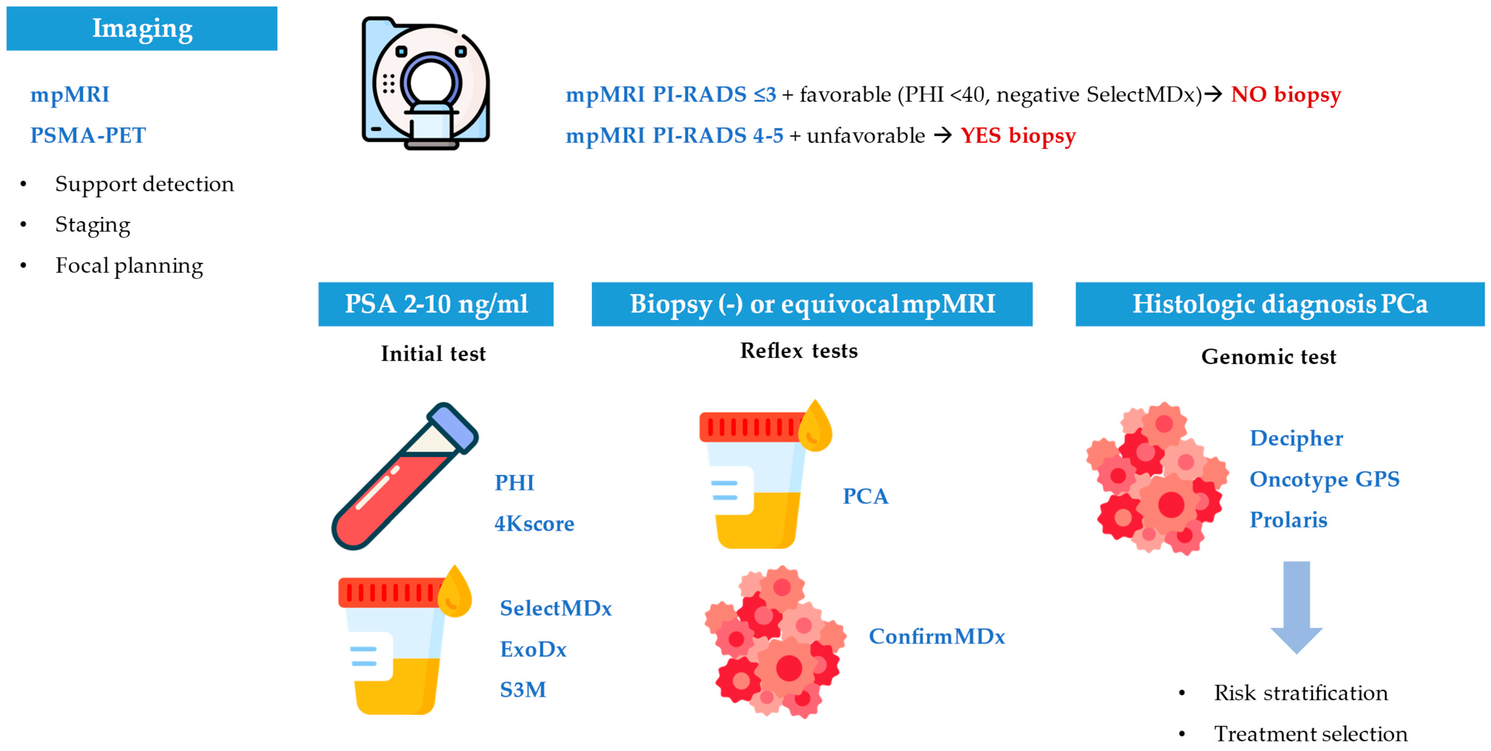 Ijms 26 07667 g001 Ijms 26 07667 g001