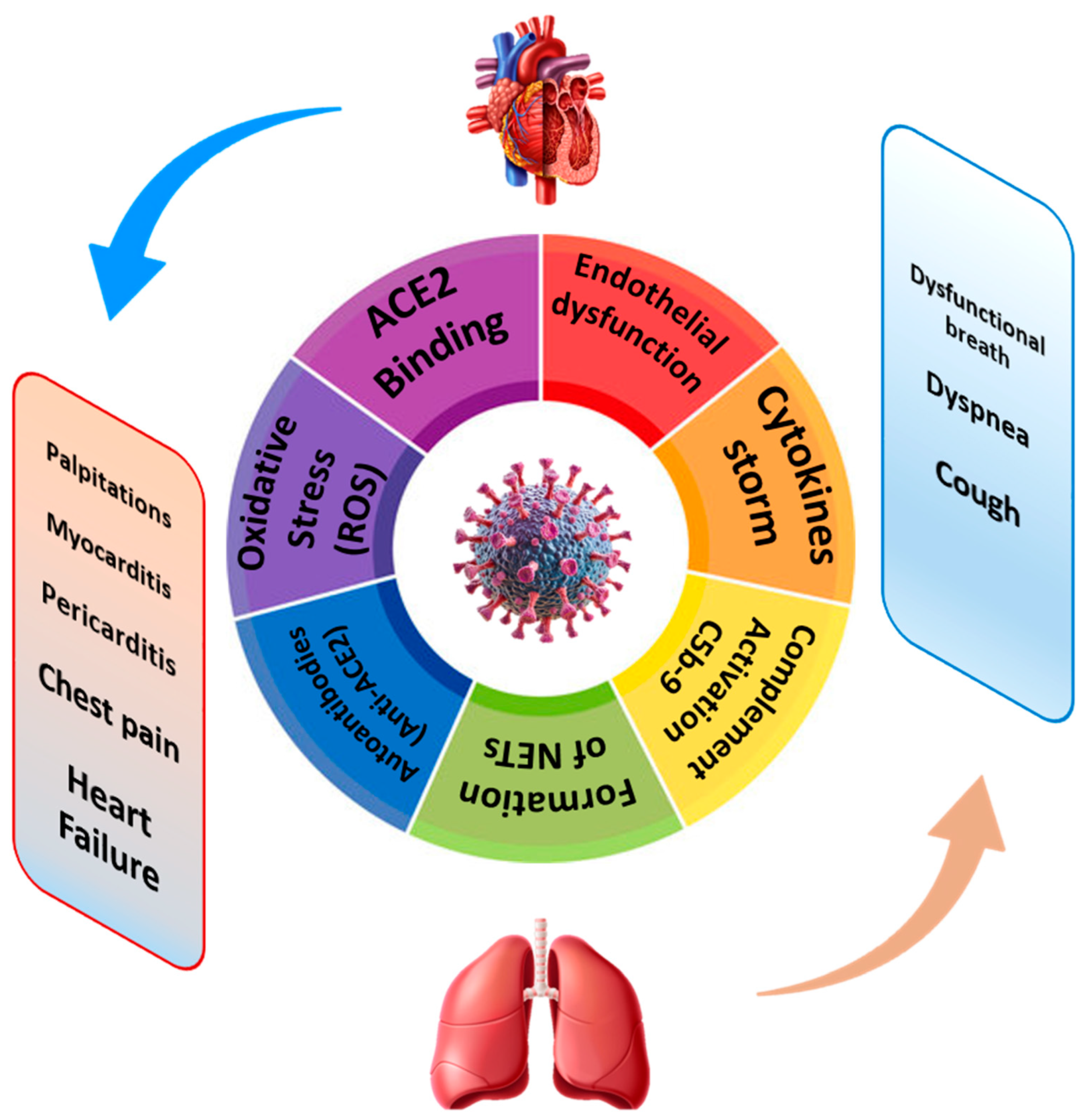 Ijms 26 07668 g001 Ijms 26 07668 g001