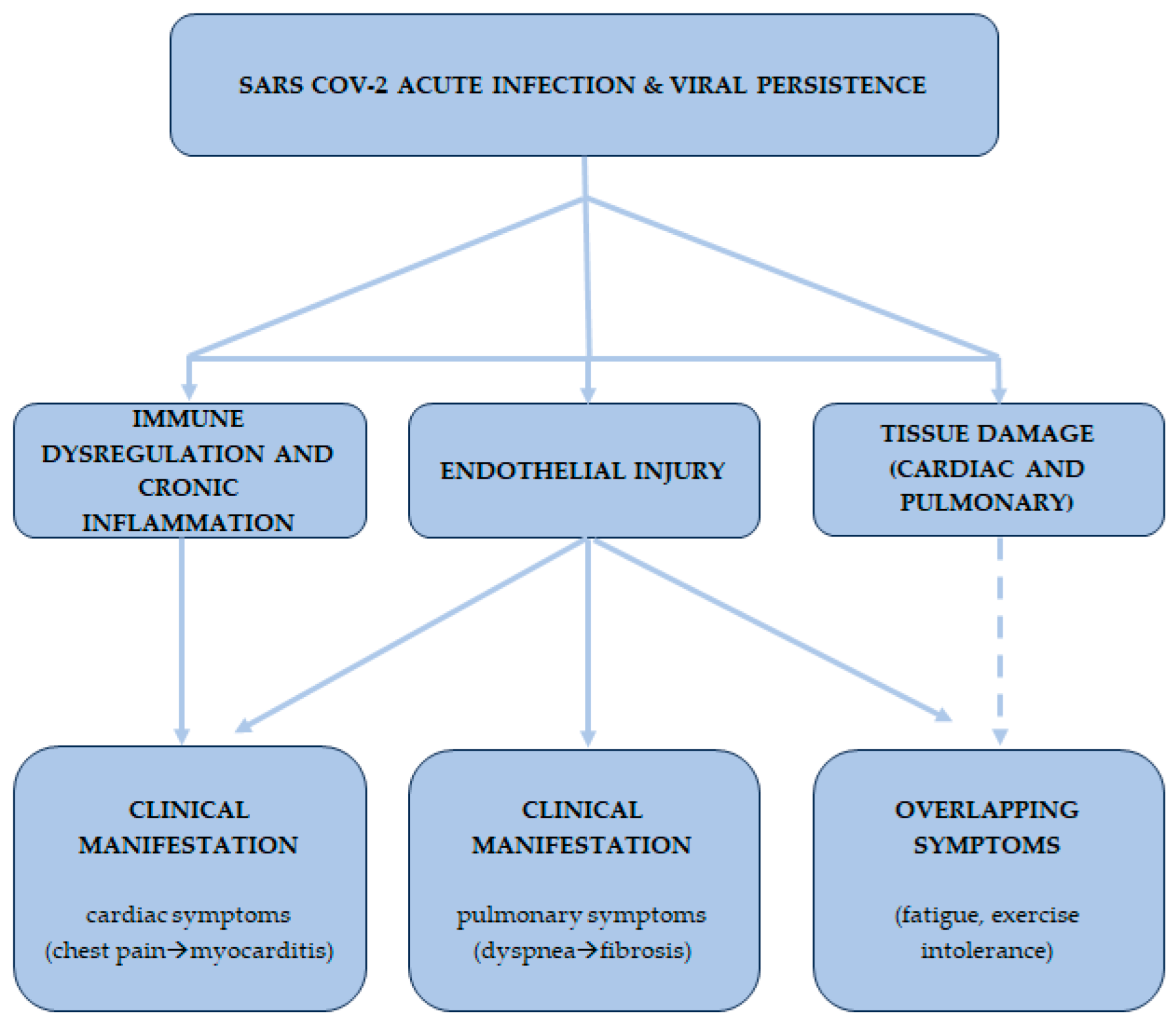Ijms 26 07668 g002 Ijms 26 07668 g002