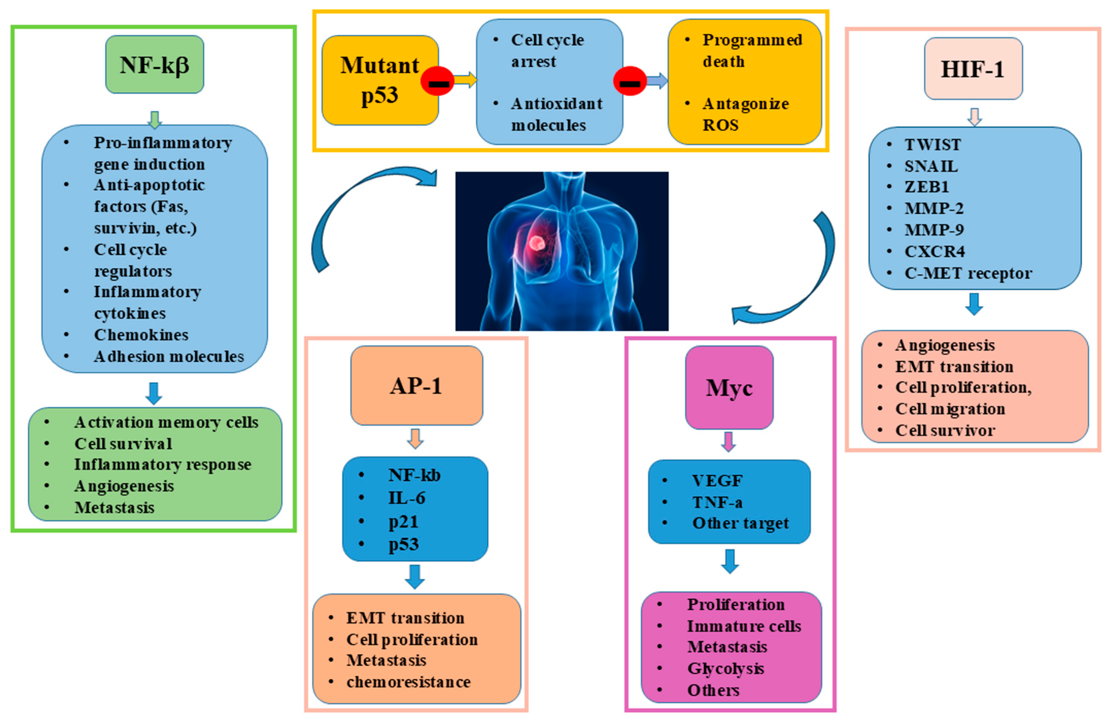 Ijms 26 07679 g002 Ijms 26 07679 g002