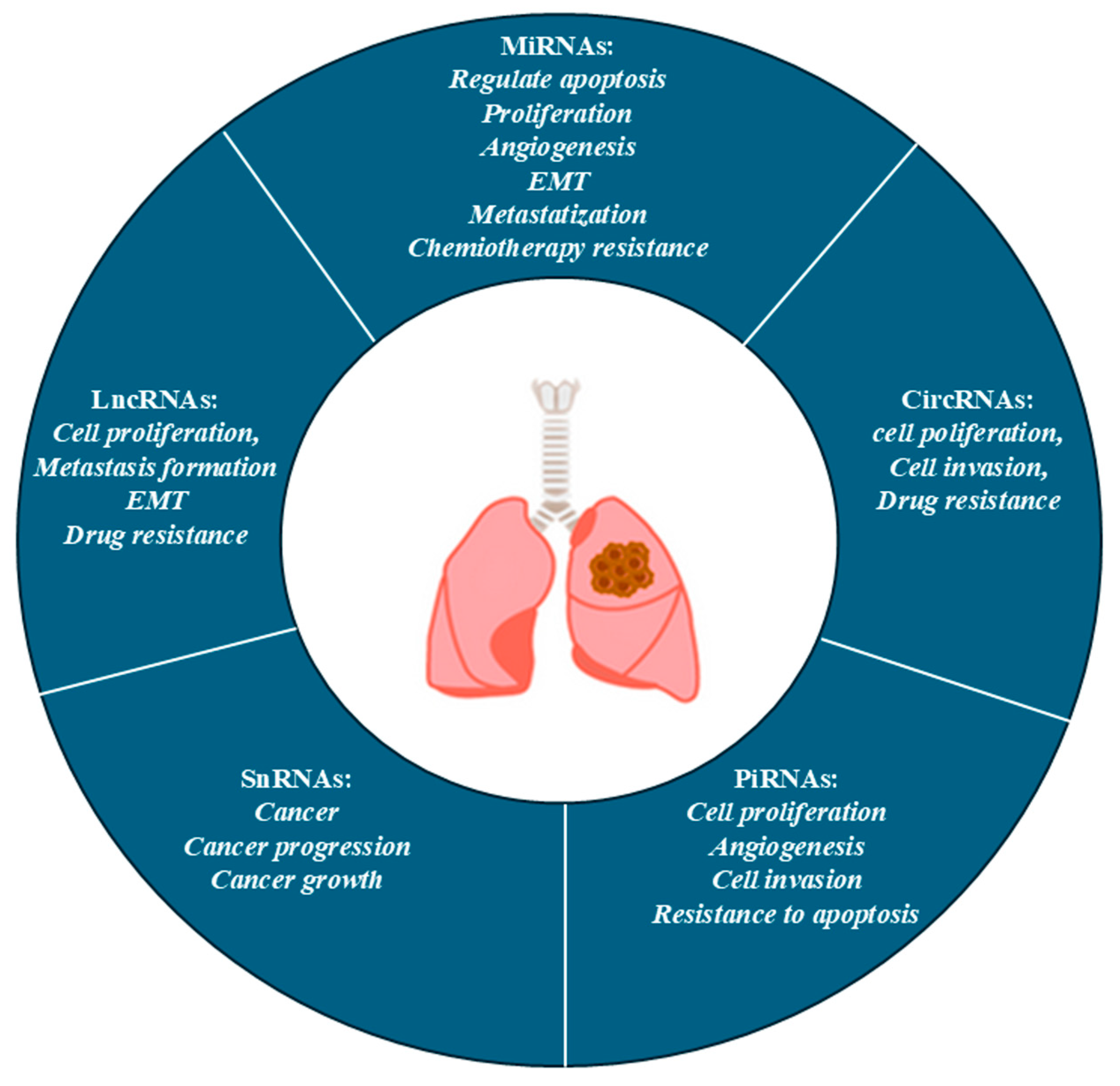 Ijms 26 07679 g003 Ijms 26 07679 g003