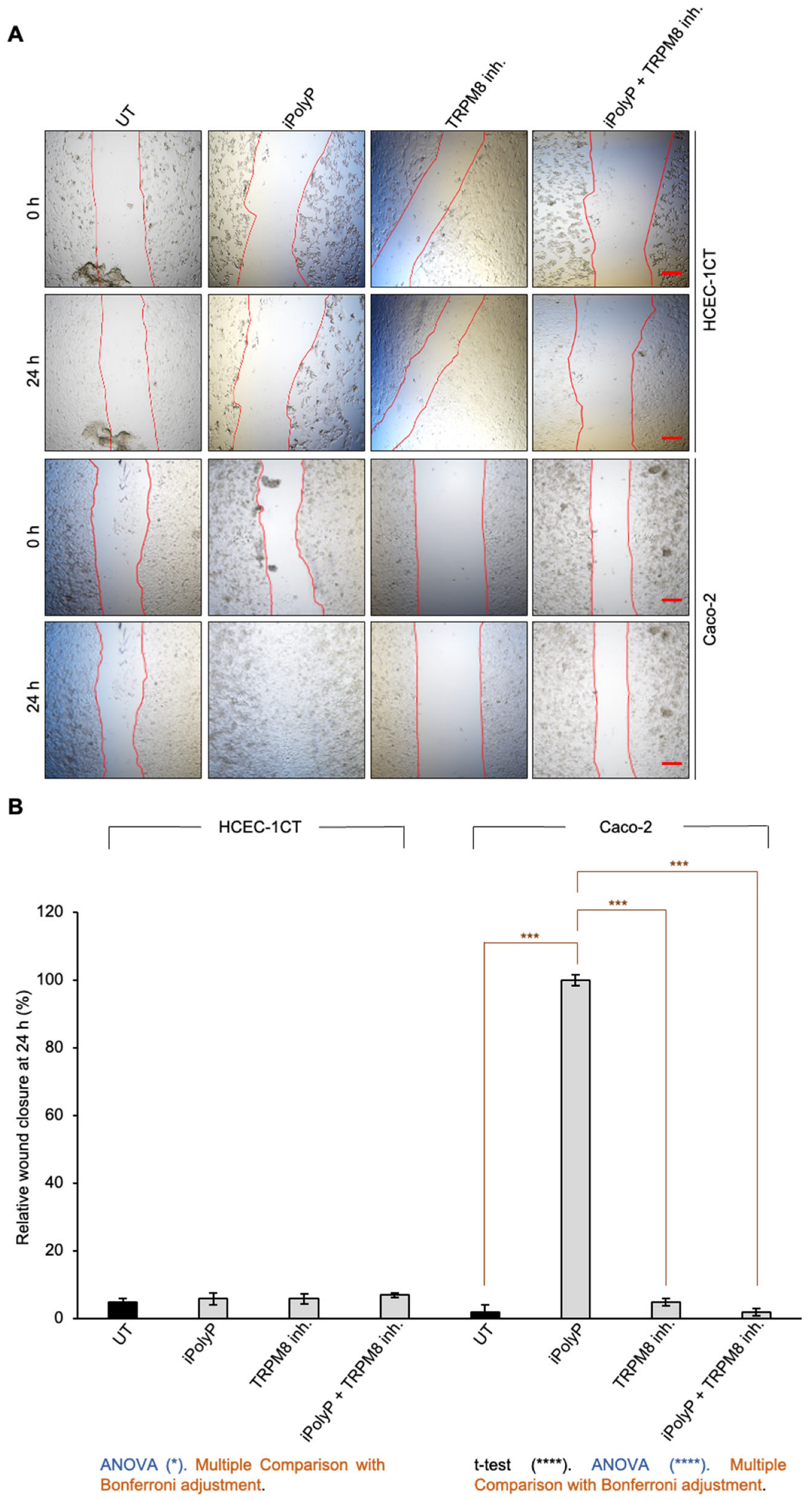 Ijms 26 07743 g002 Ijms 26 07743 g002