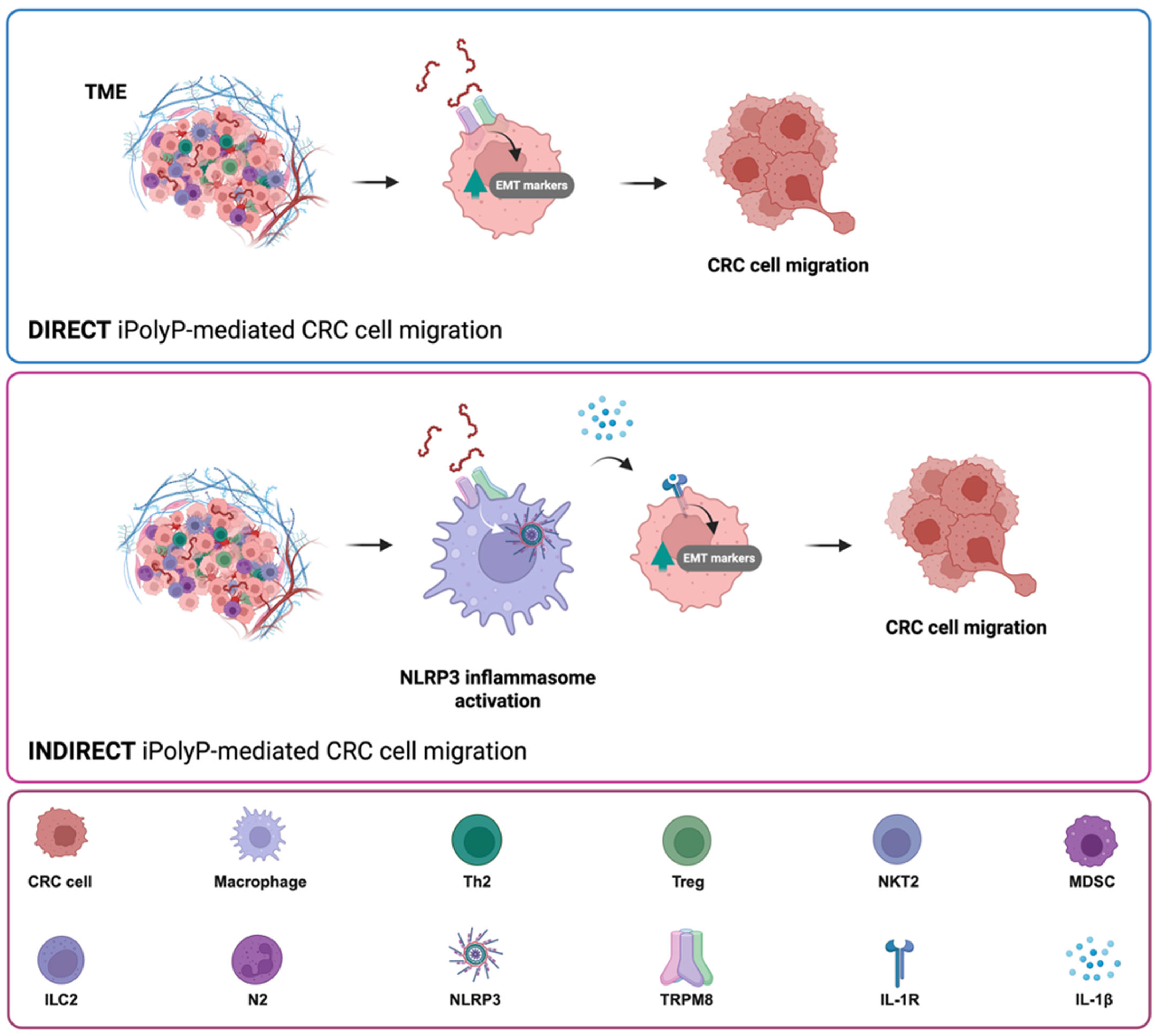 Ijms 26 07743 g006 Ijms 26 07743 g006