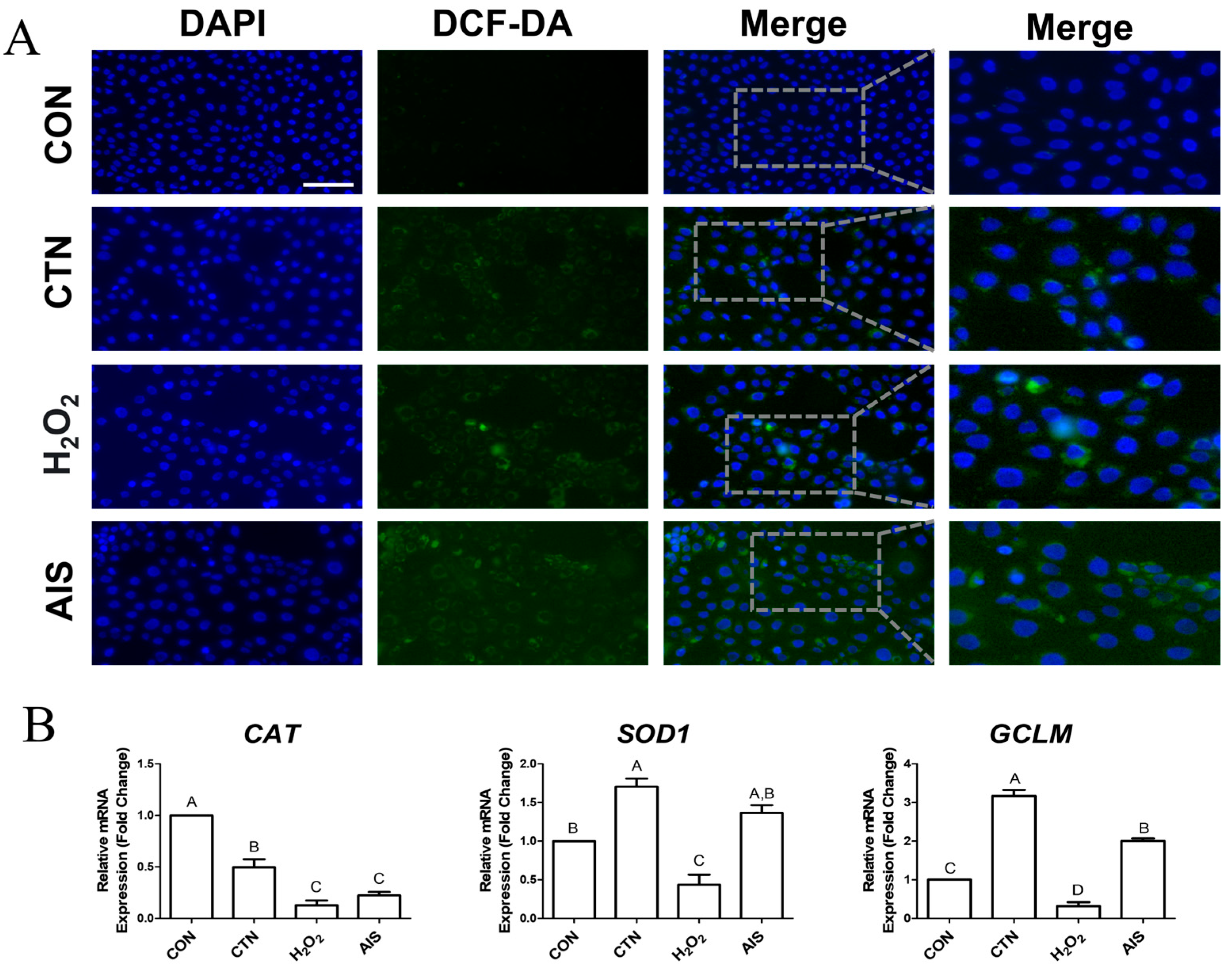 Ijms 26 07773 g002 Ijms 26 07773 g002