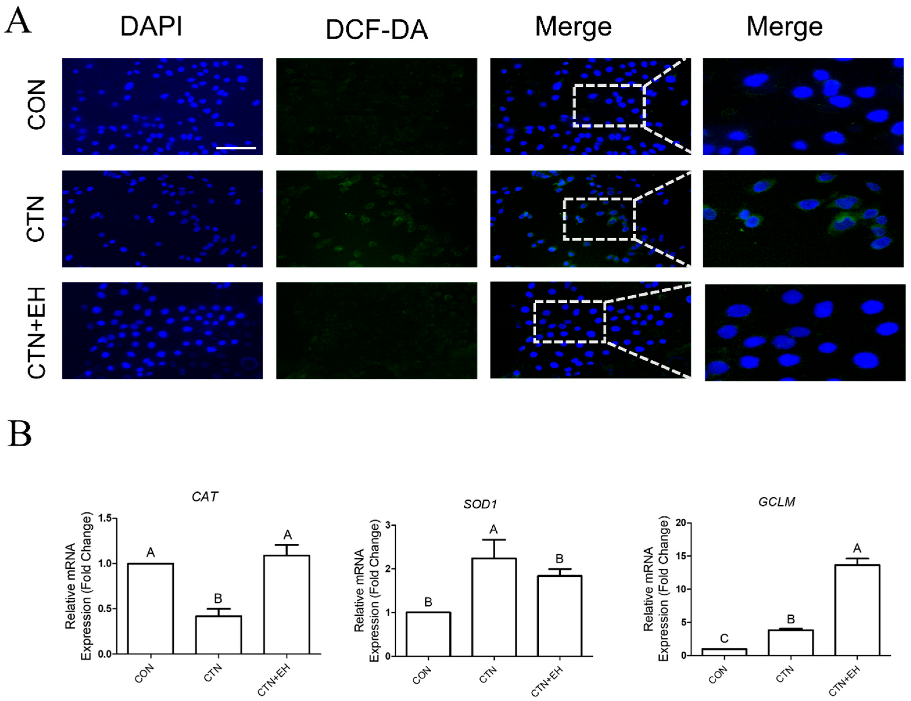 Ijms 26 07773 g006 Ijms 26 07773 g006
