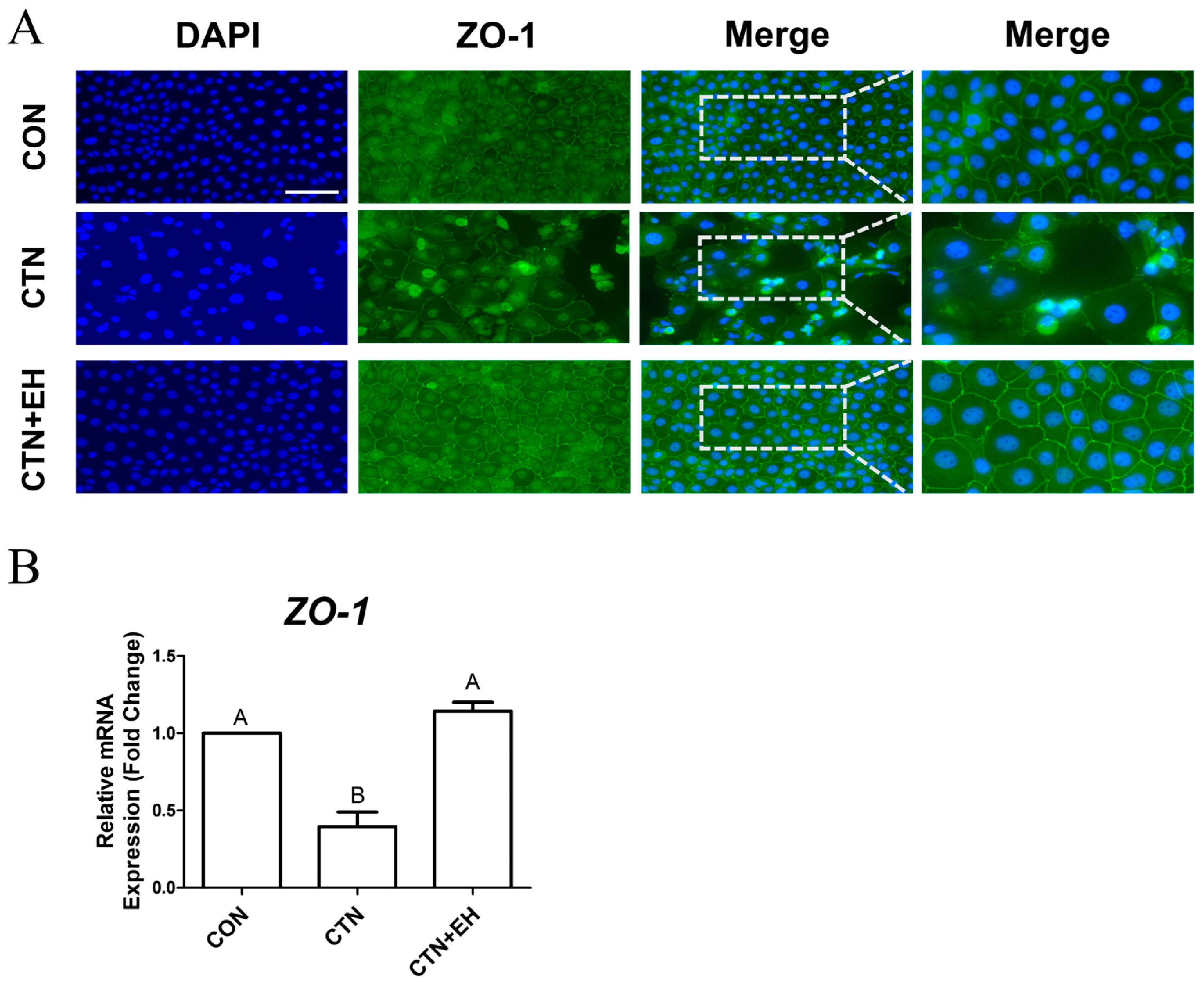 Ijms 26 07773 g007 Ijms 26 07773 g007