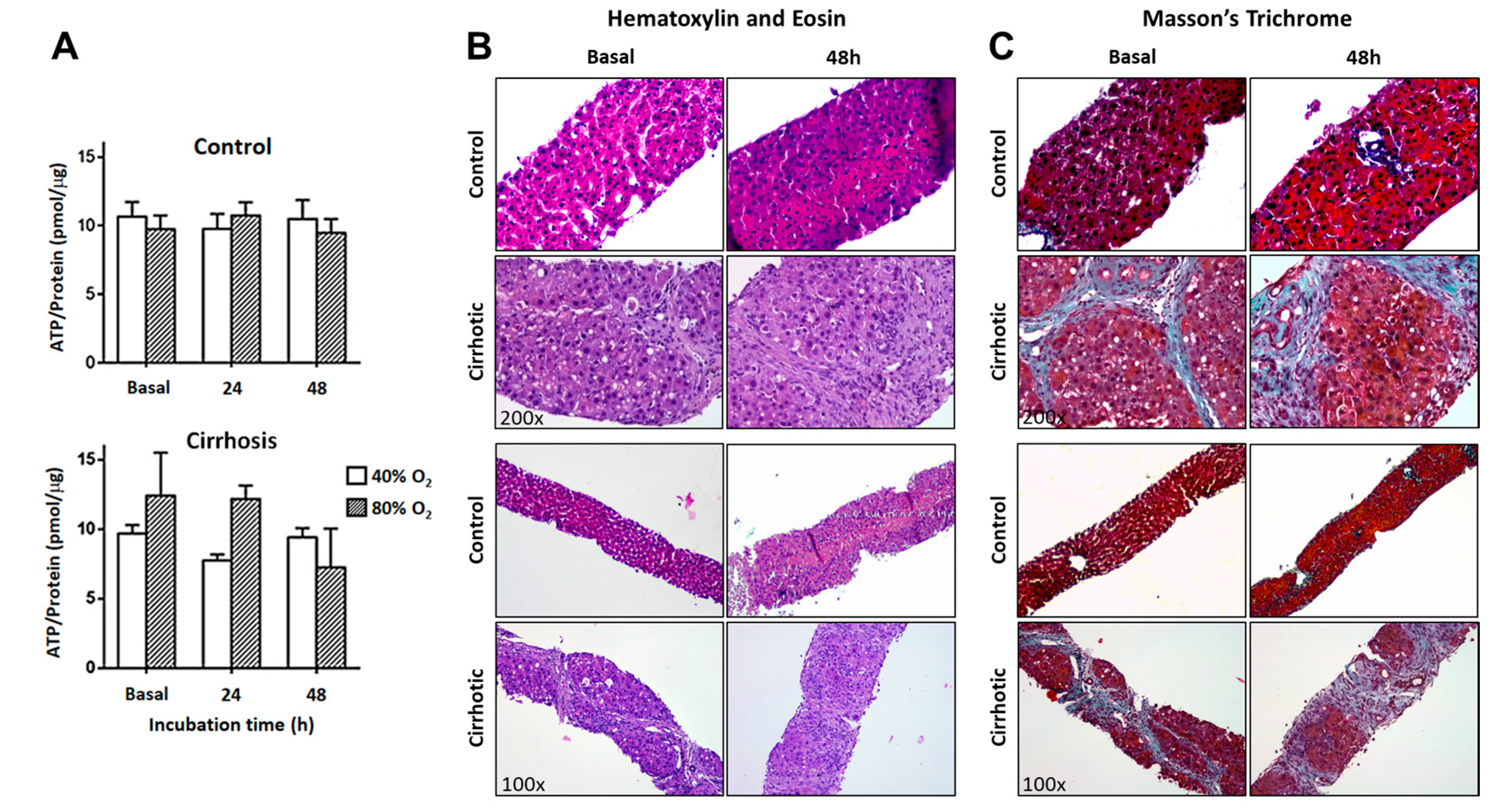 Ijms 26 07780 g002 Ijms 26 07780 g002