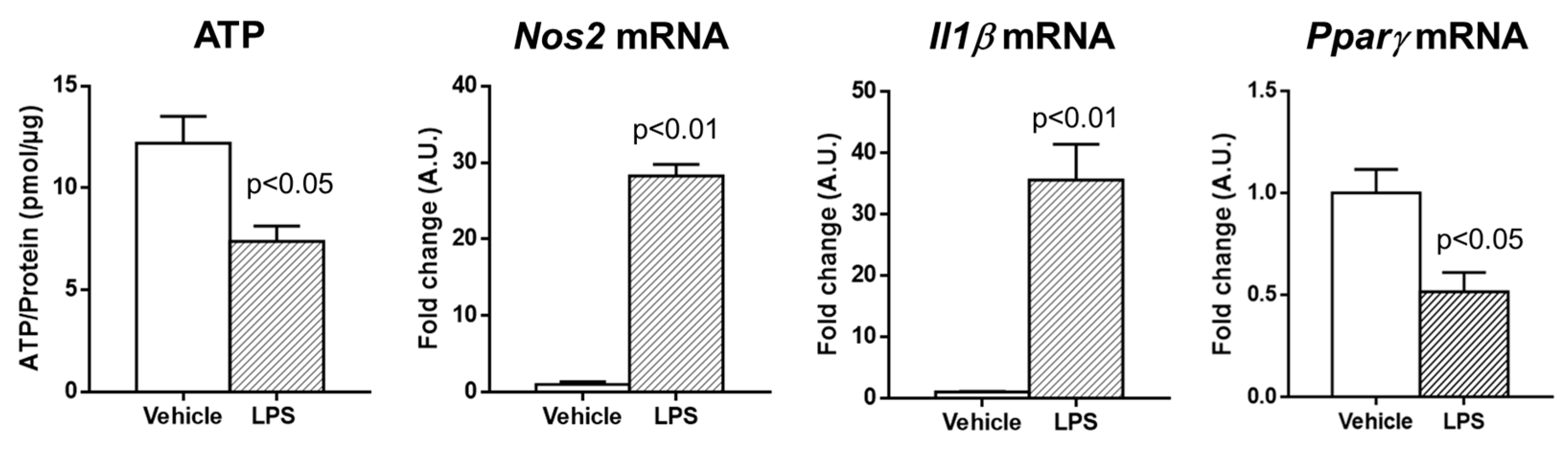 Ijms 26 07780 g004 Ijms 26 07780 g004