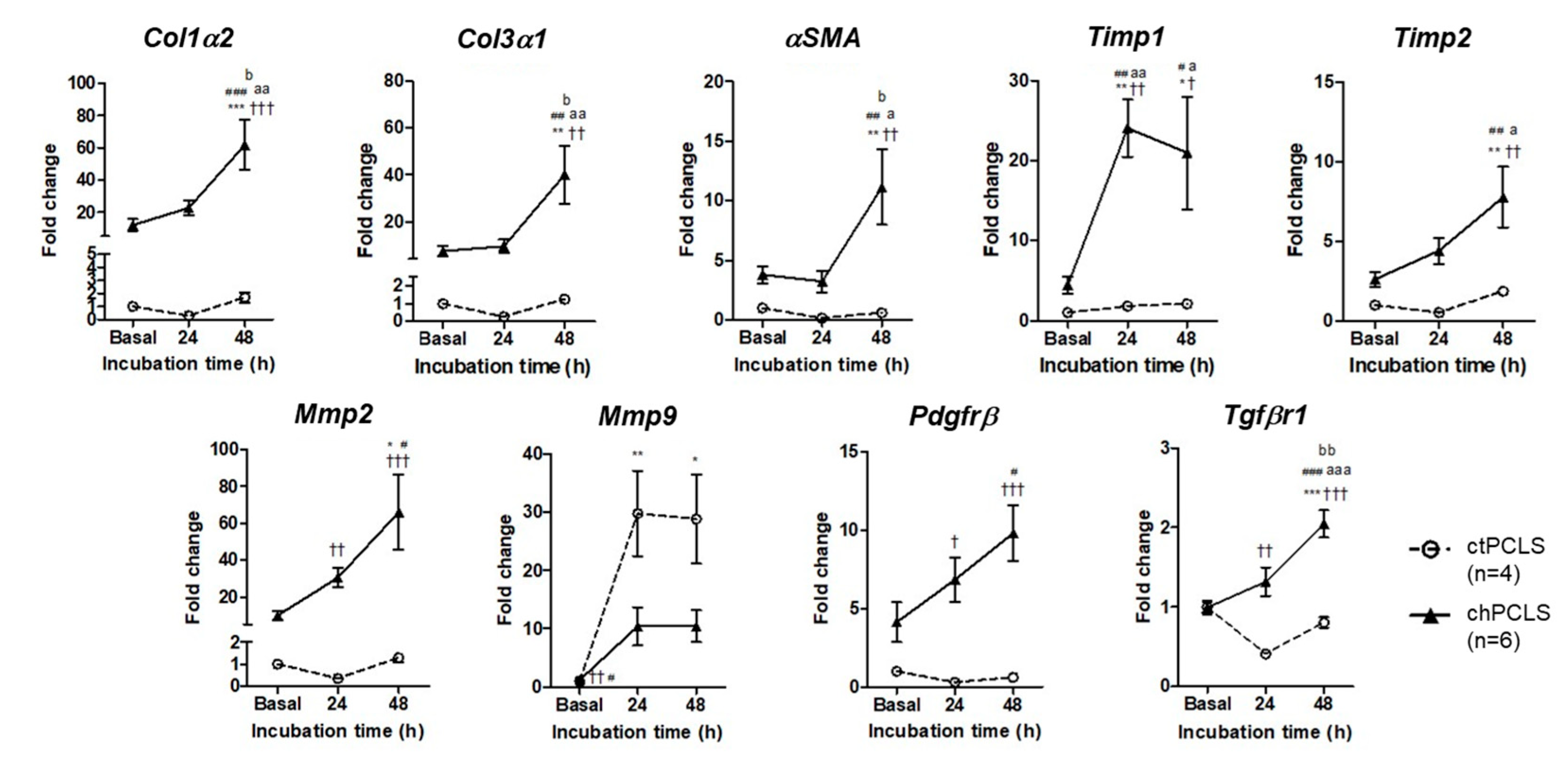 Ijms 26 07780 g005 Ijms 26 07780 g005