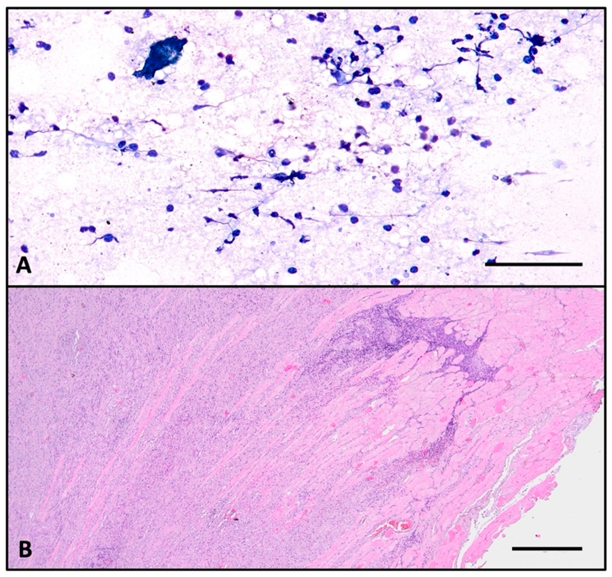 Ijms 26 07786 g002 Ijms 26 07786 g002