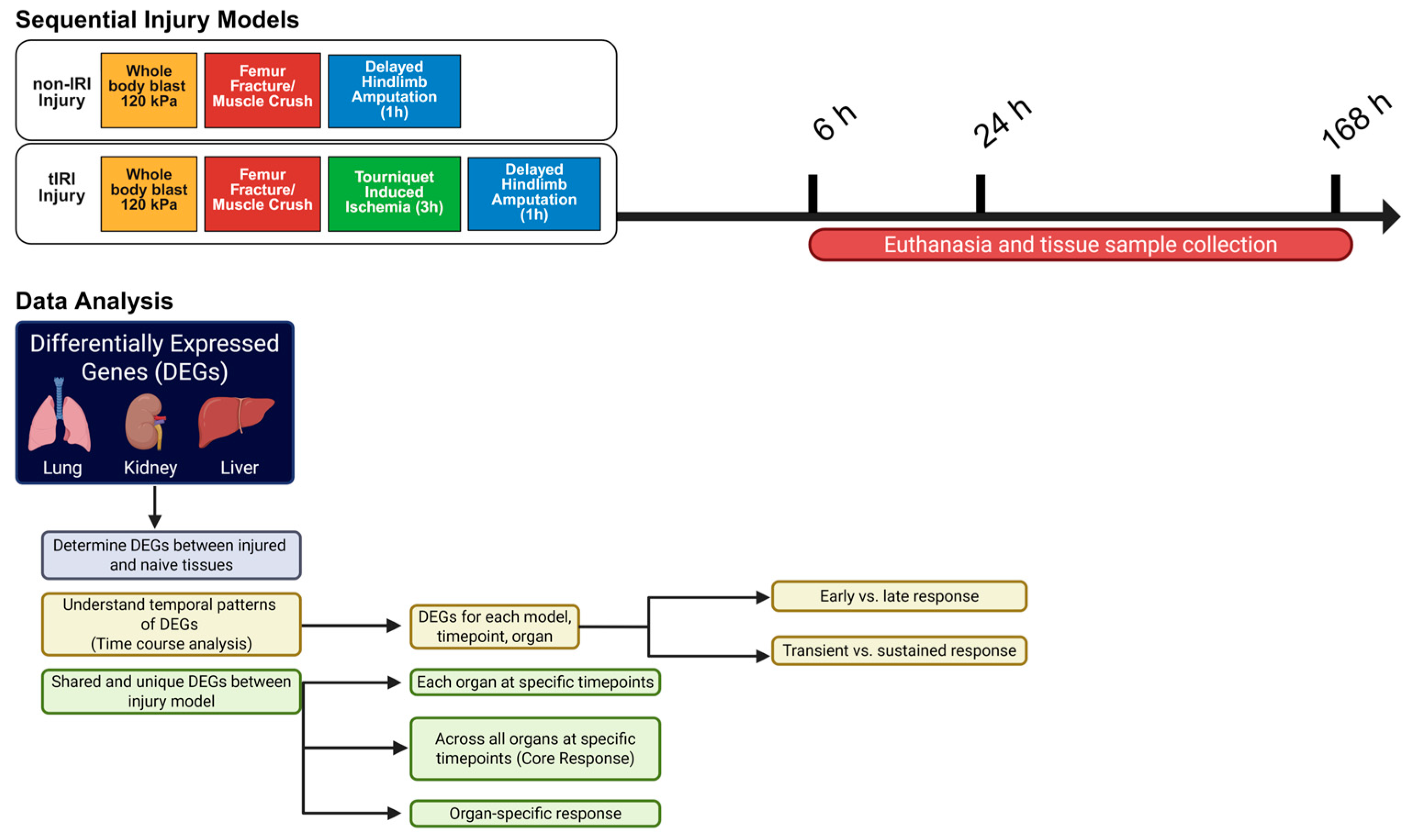Ijms 26 07794 g001 Ijms 26 07794 g001
