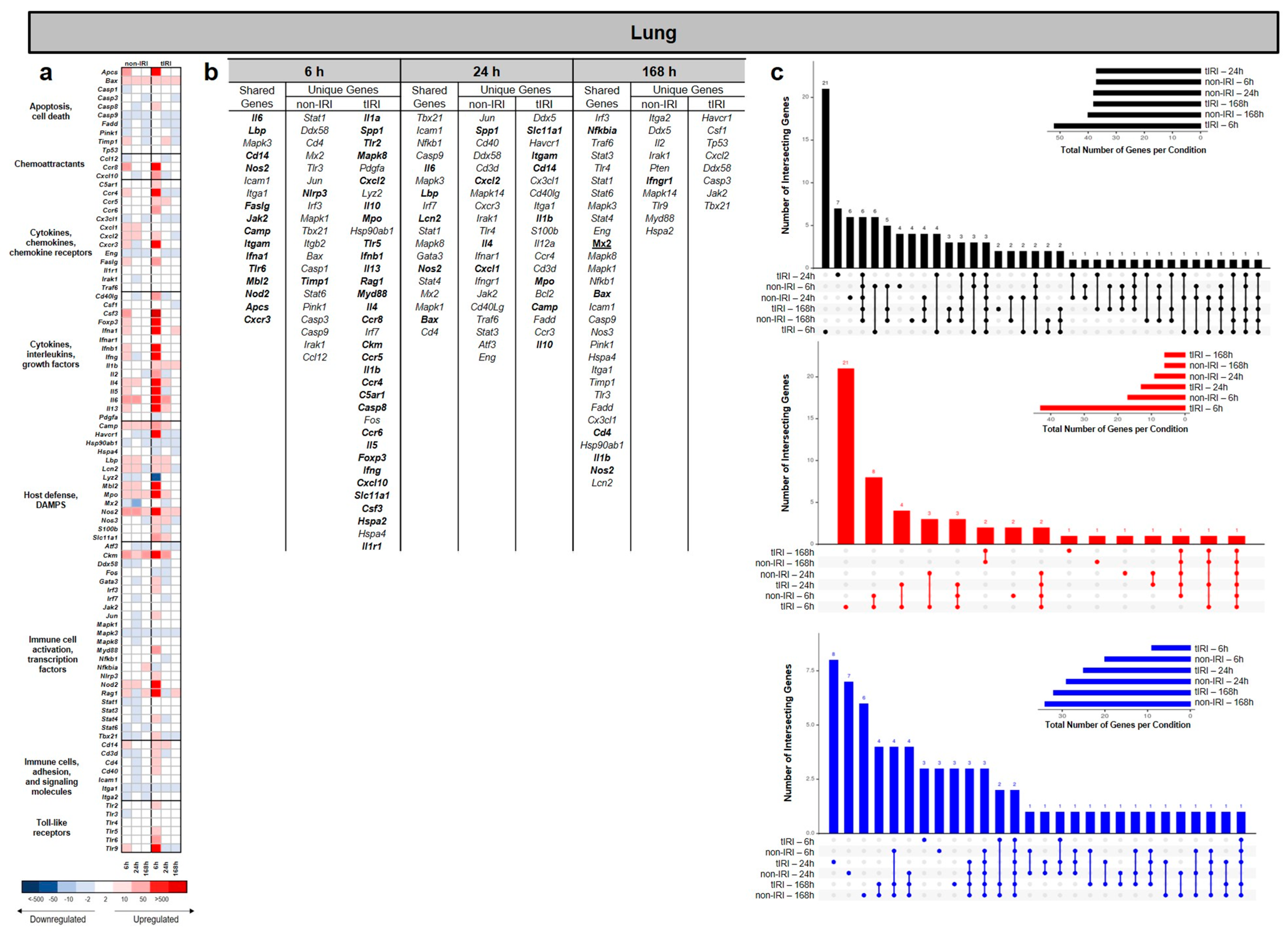 Ijms 26 07794 g002 Ijms 26 07794 g002