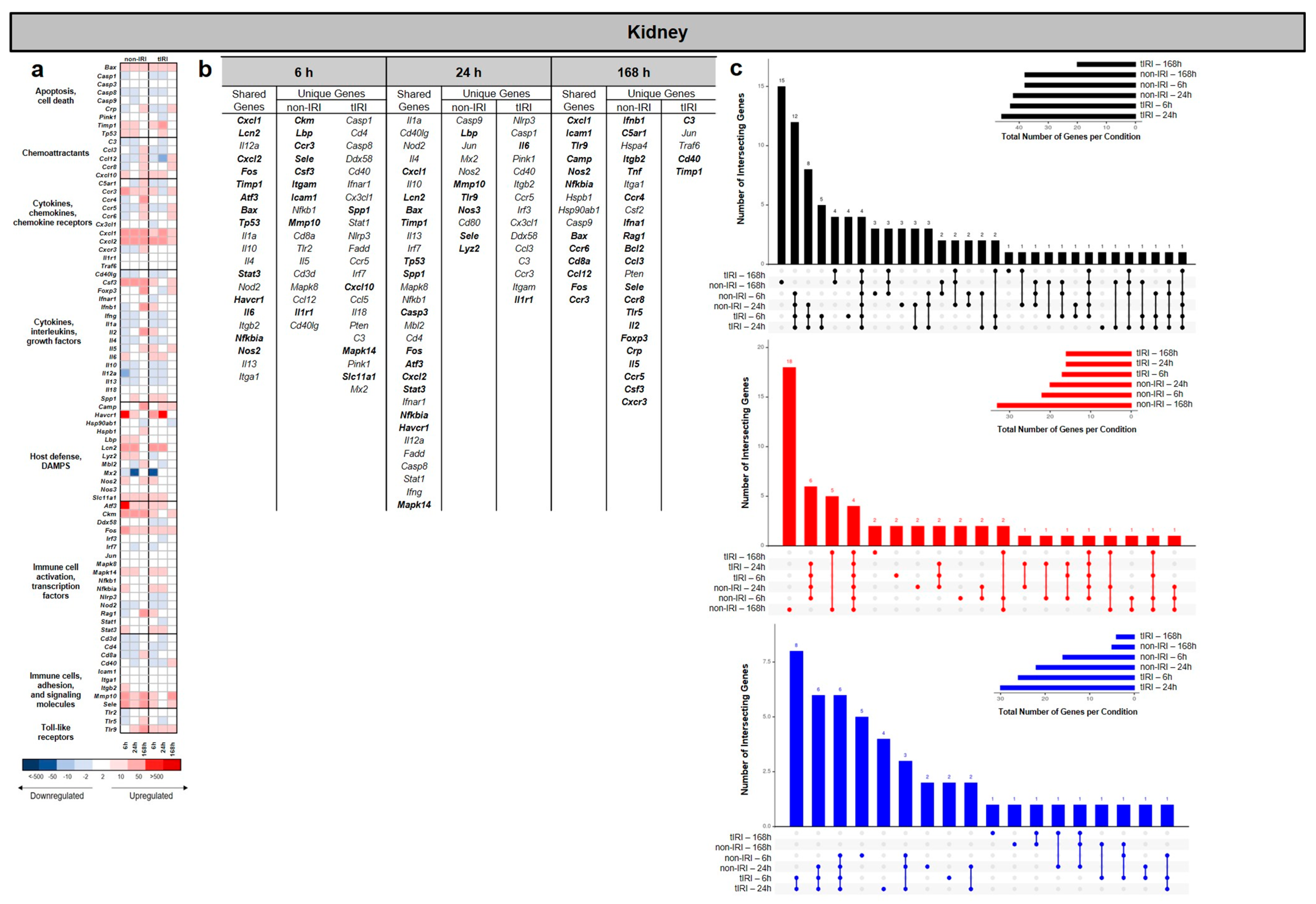 Ijms 26 07794 g003 Ijms 26 07794 g003