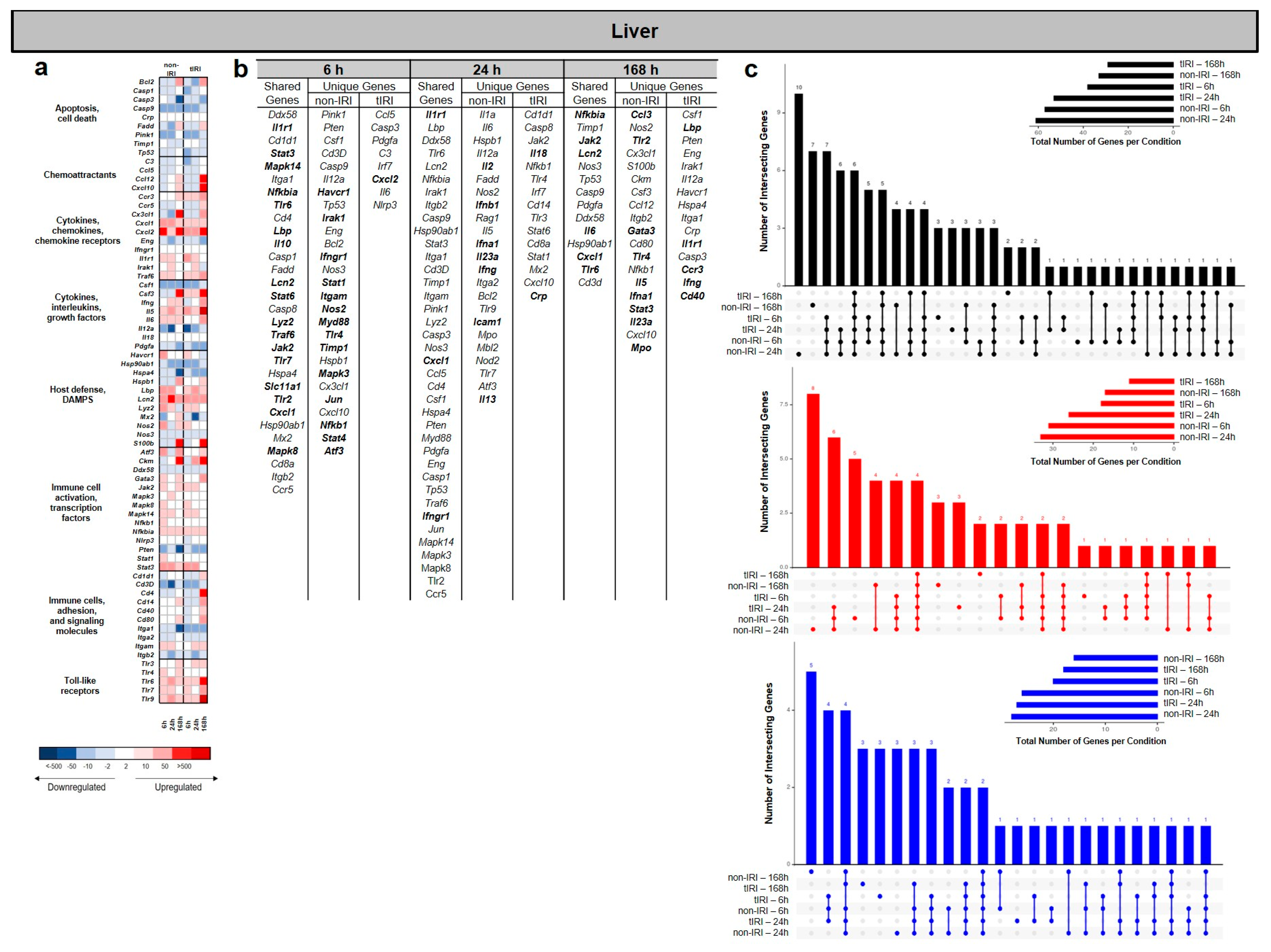 Ijms 26 07794 g004 Ijms 26 07794 g004