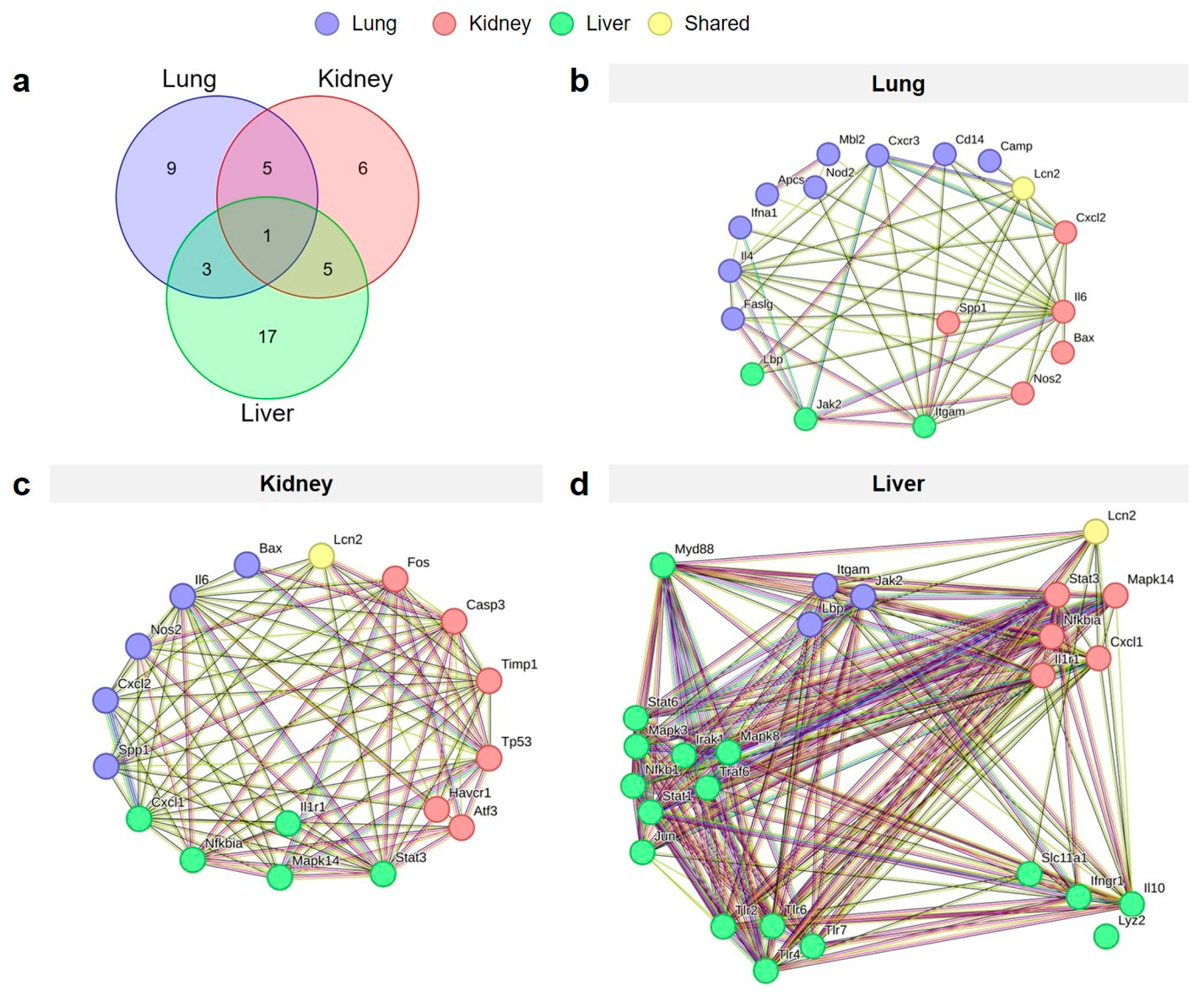 Ijms 26 07794 g005 Ijms 26 07794 g005