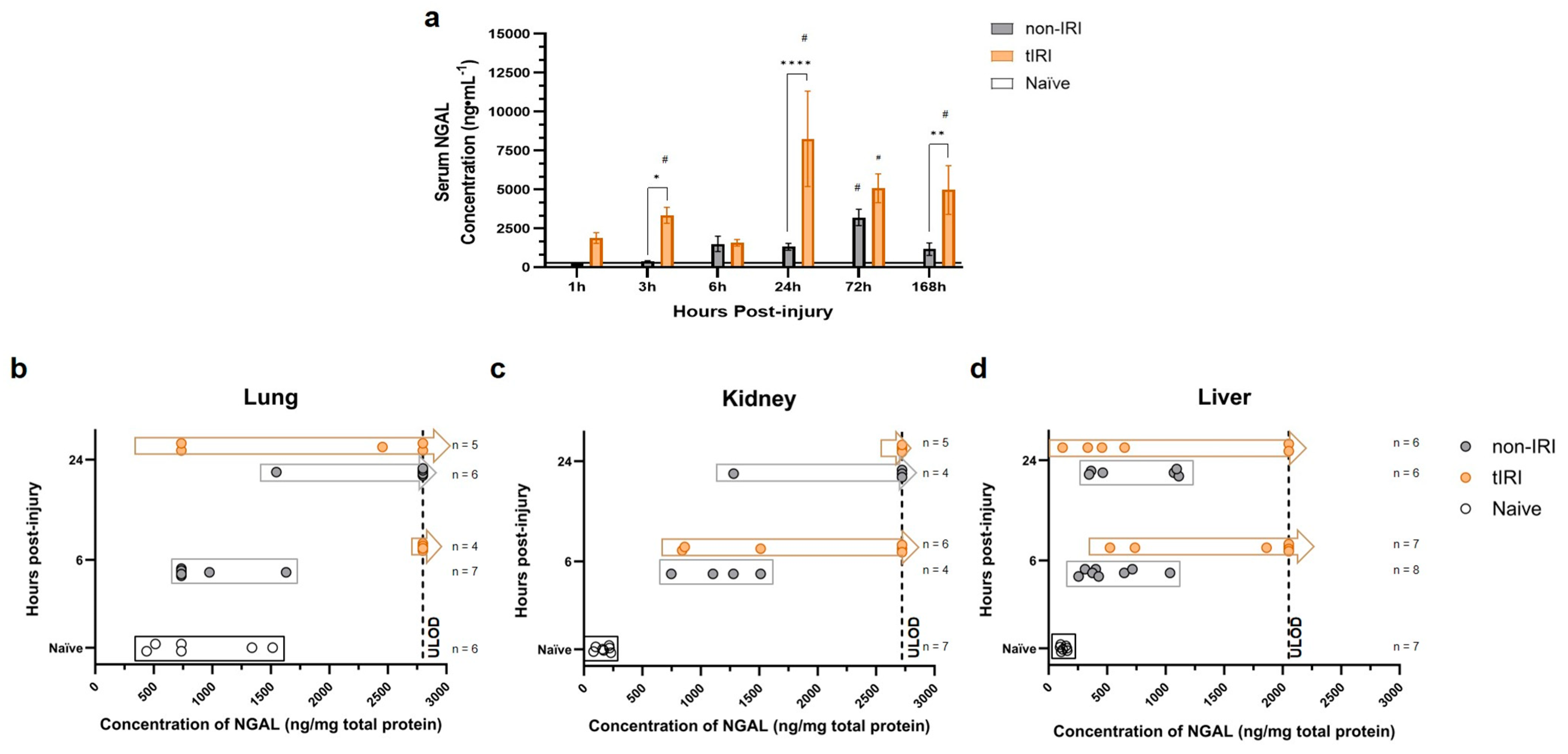Ijms 26 07794 g006 Ijms 26 07794 g006