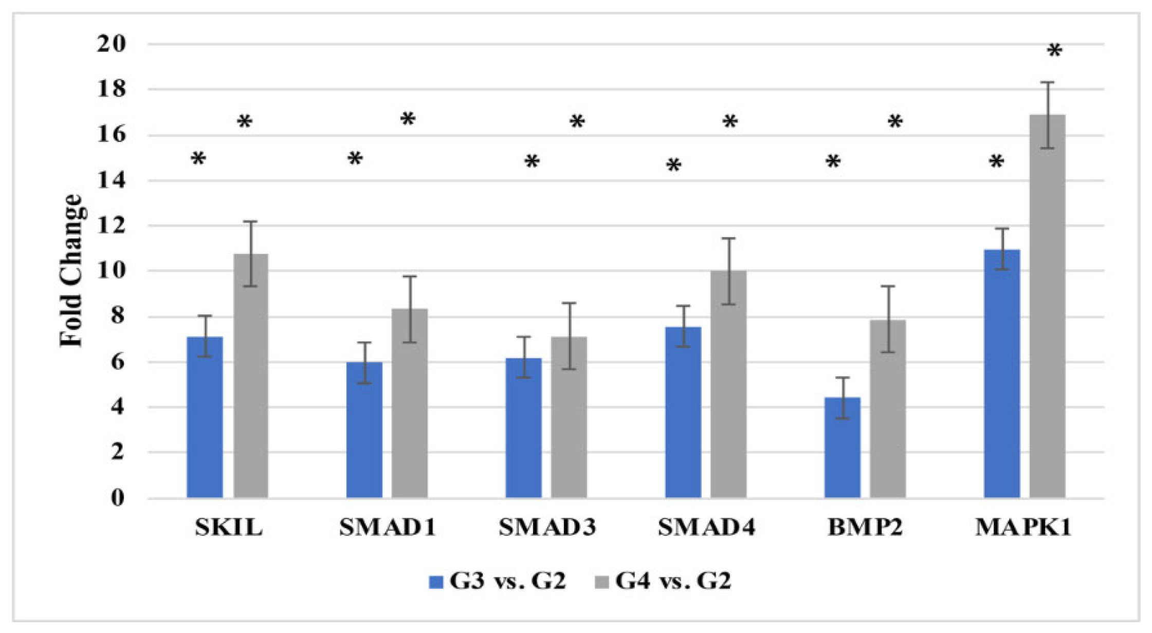 Ijms 26 07798 g001 Ijms 26 07798 g001
