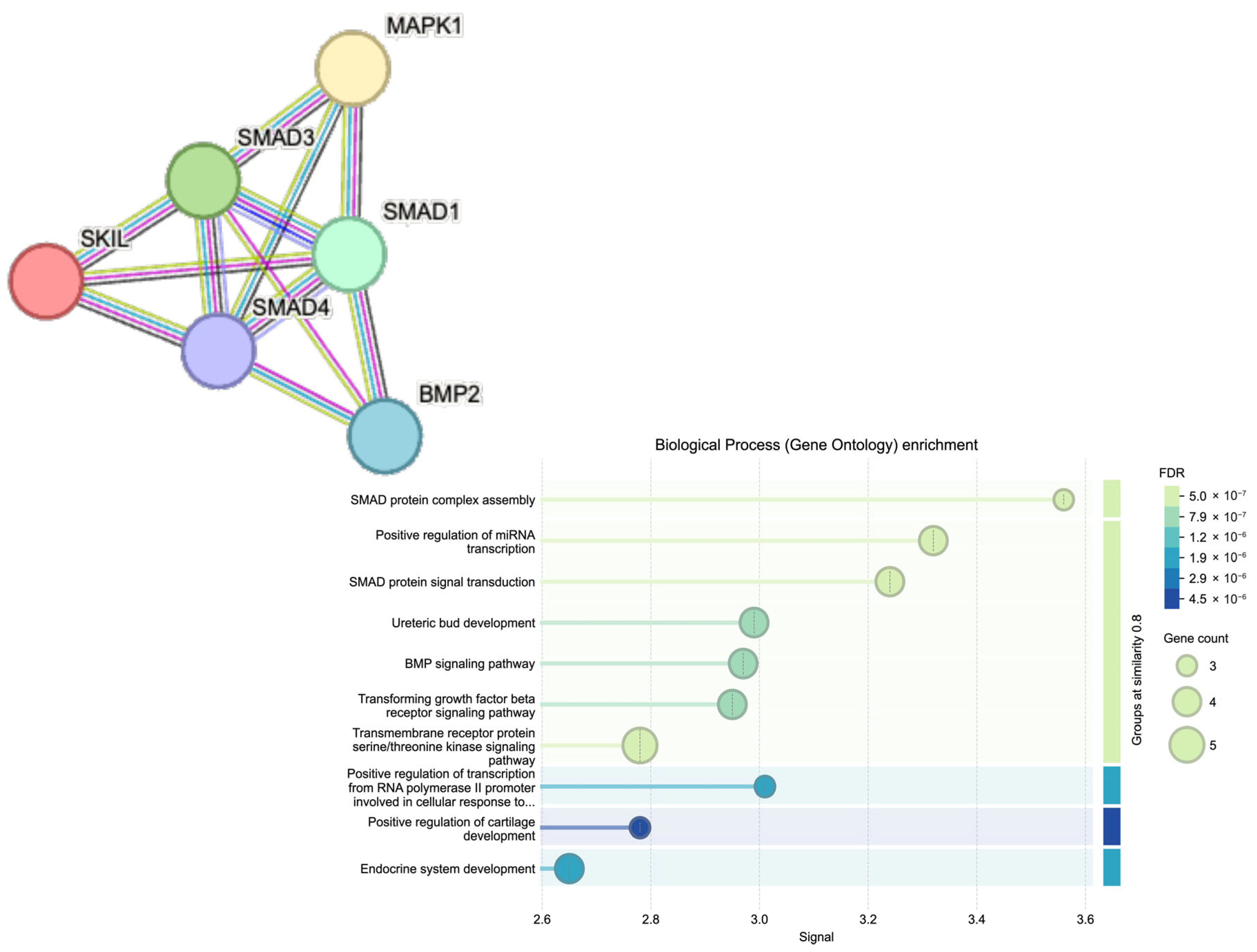 Ijms 26 07798 g003 Ijms 26 07798 g003