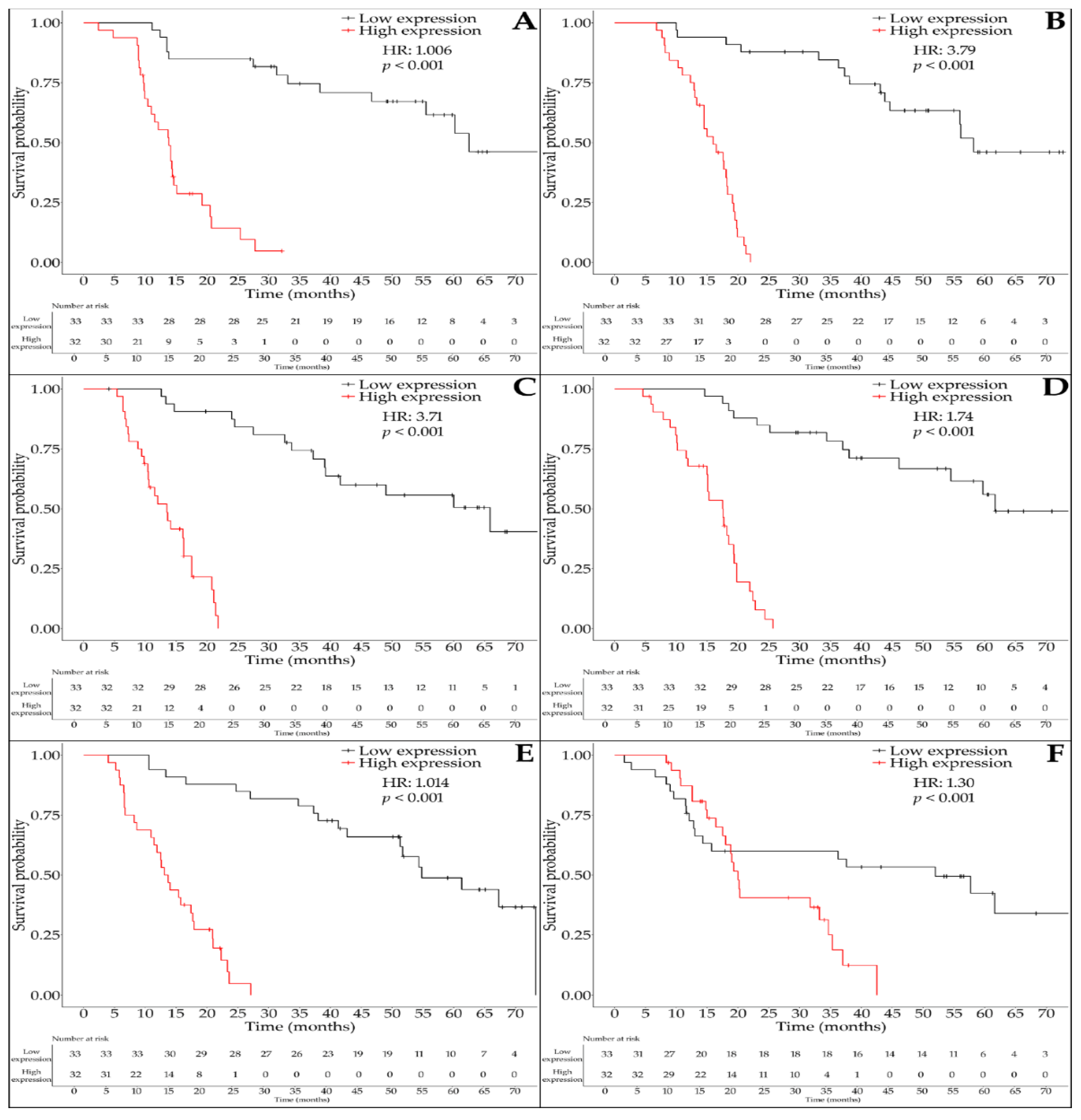 Ijms 26 07798 g004 Ijms 26 07798 g004