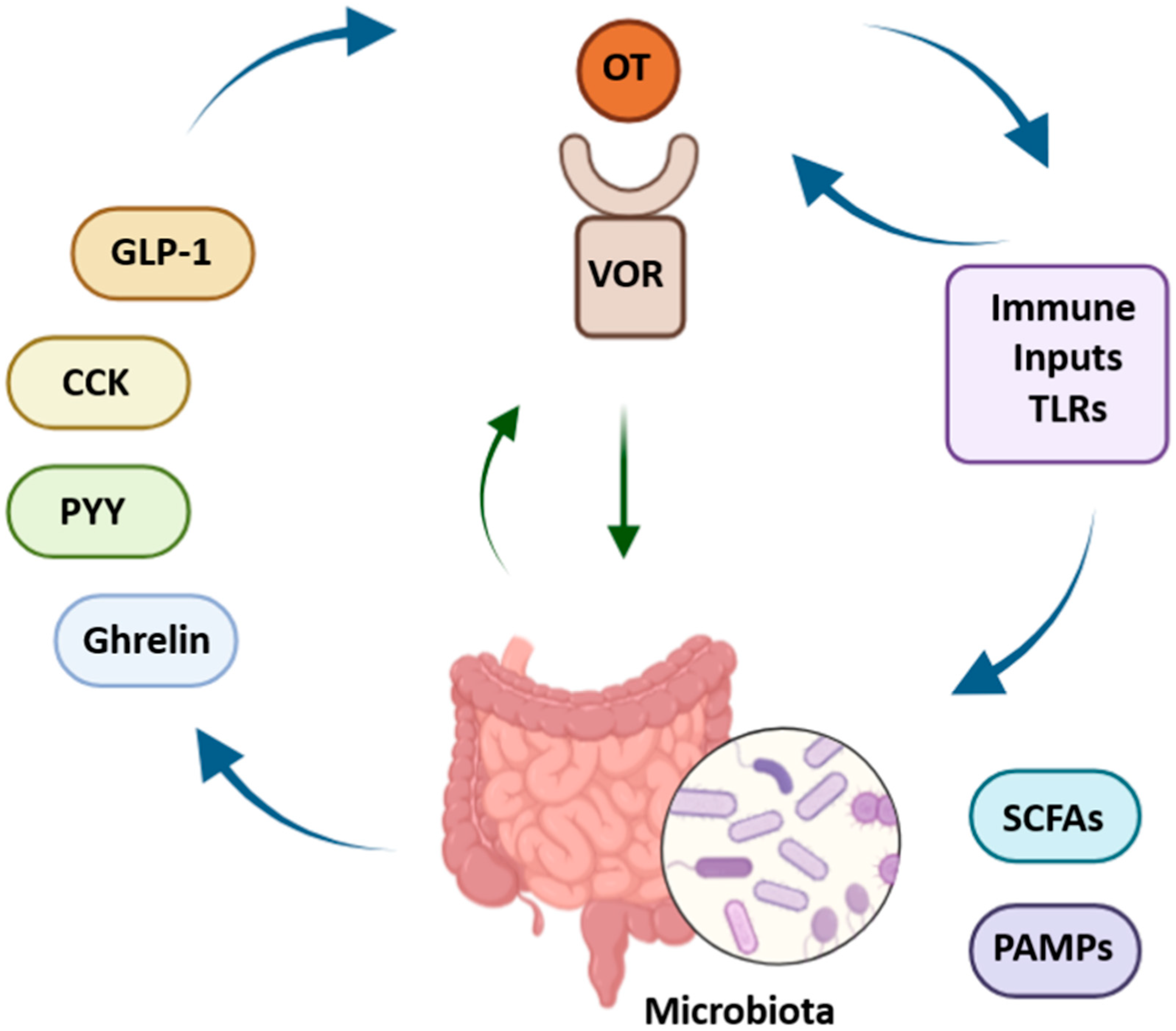 Ijms 26 07812 g003 Ijms 26 07812 g003