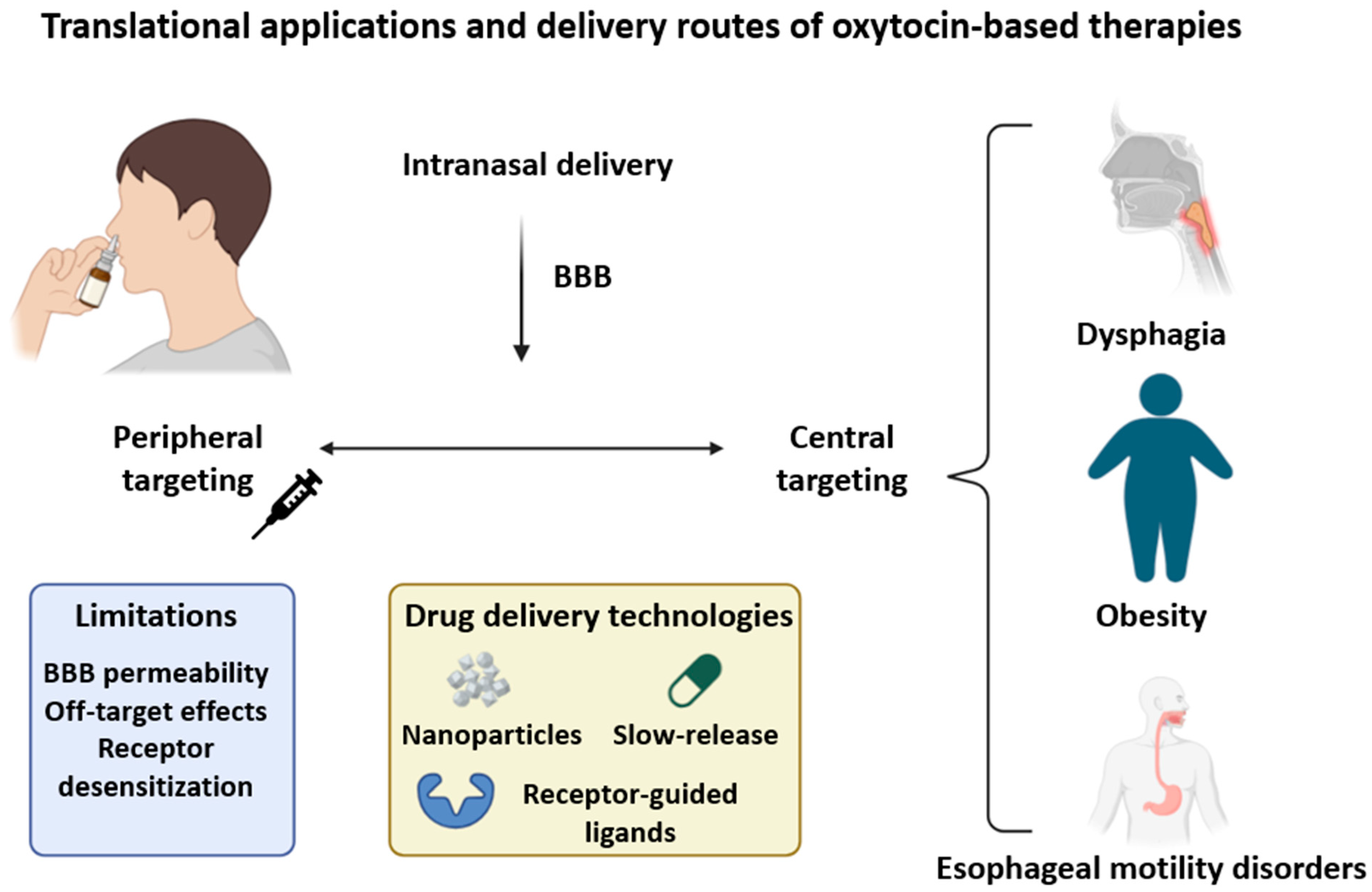 Ijms 26 07812 g005 Ijms 26 07812 g005