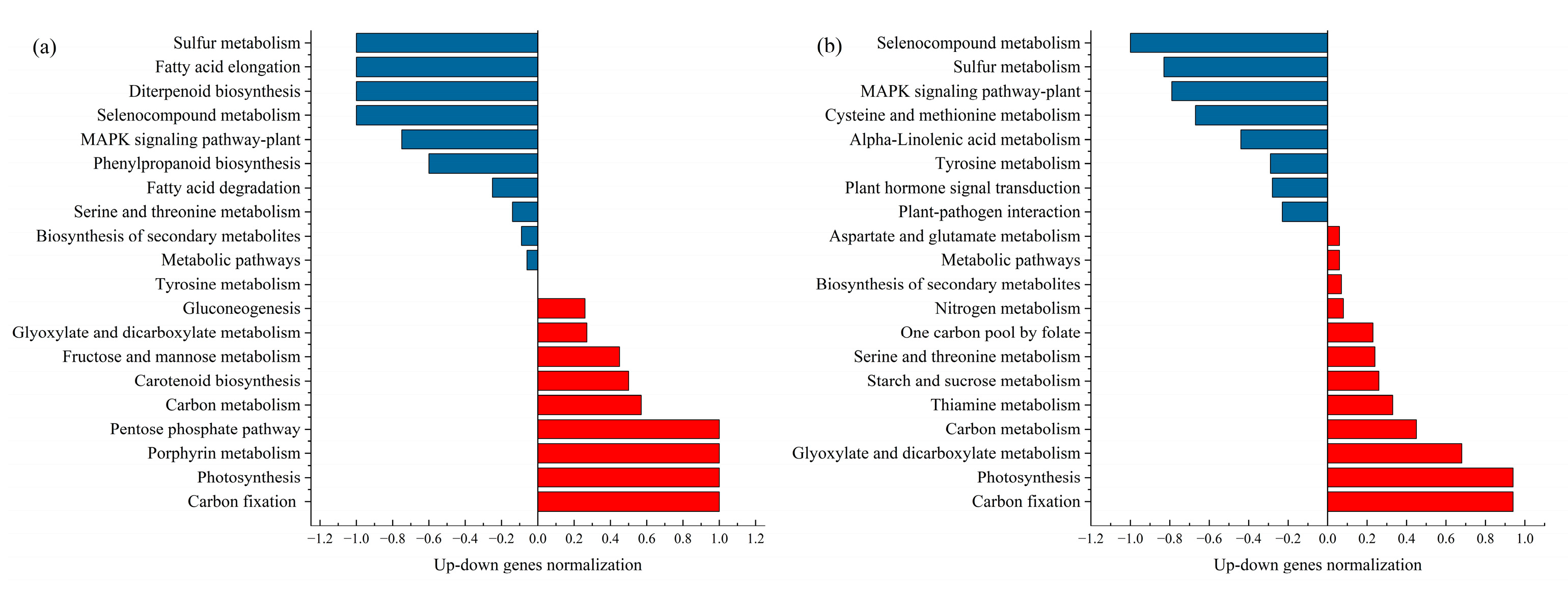 Ijms 26 07824 g002 Ijms 26 07824 g002