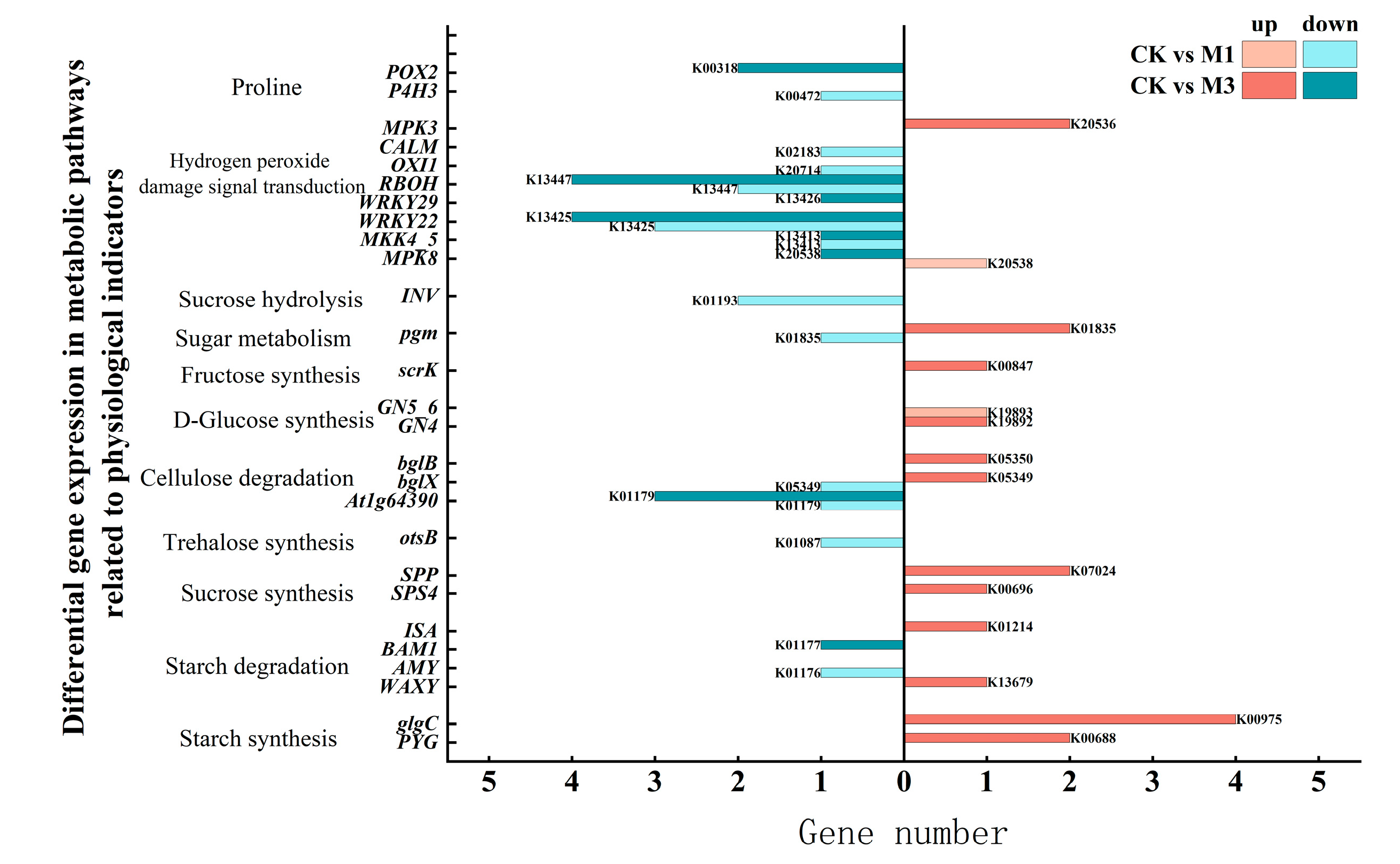 Ijms 26 07824 g004 Ijms 26 07824 g004