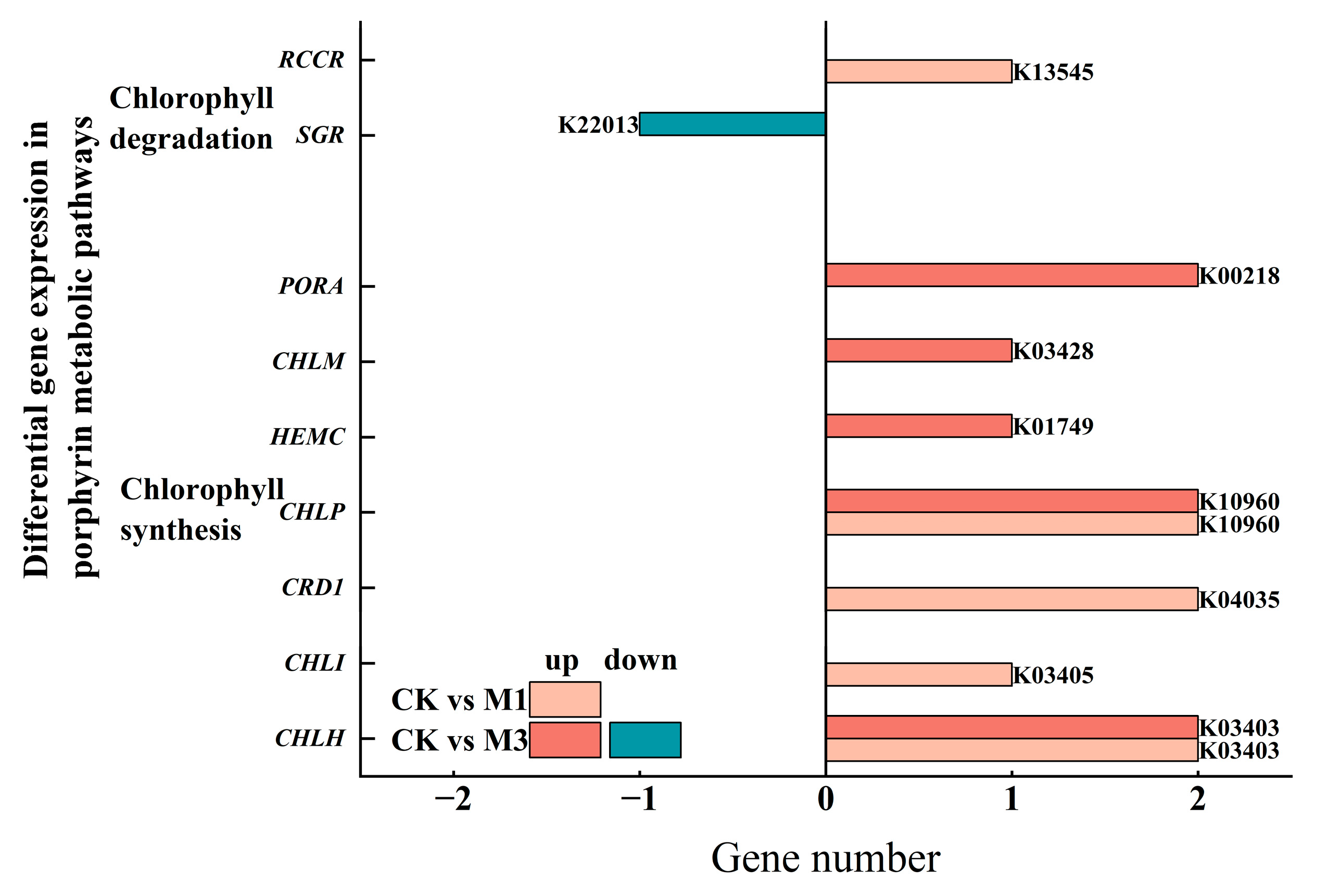 Ijms 26 07824 g006 Ijms 26 07824 g006