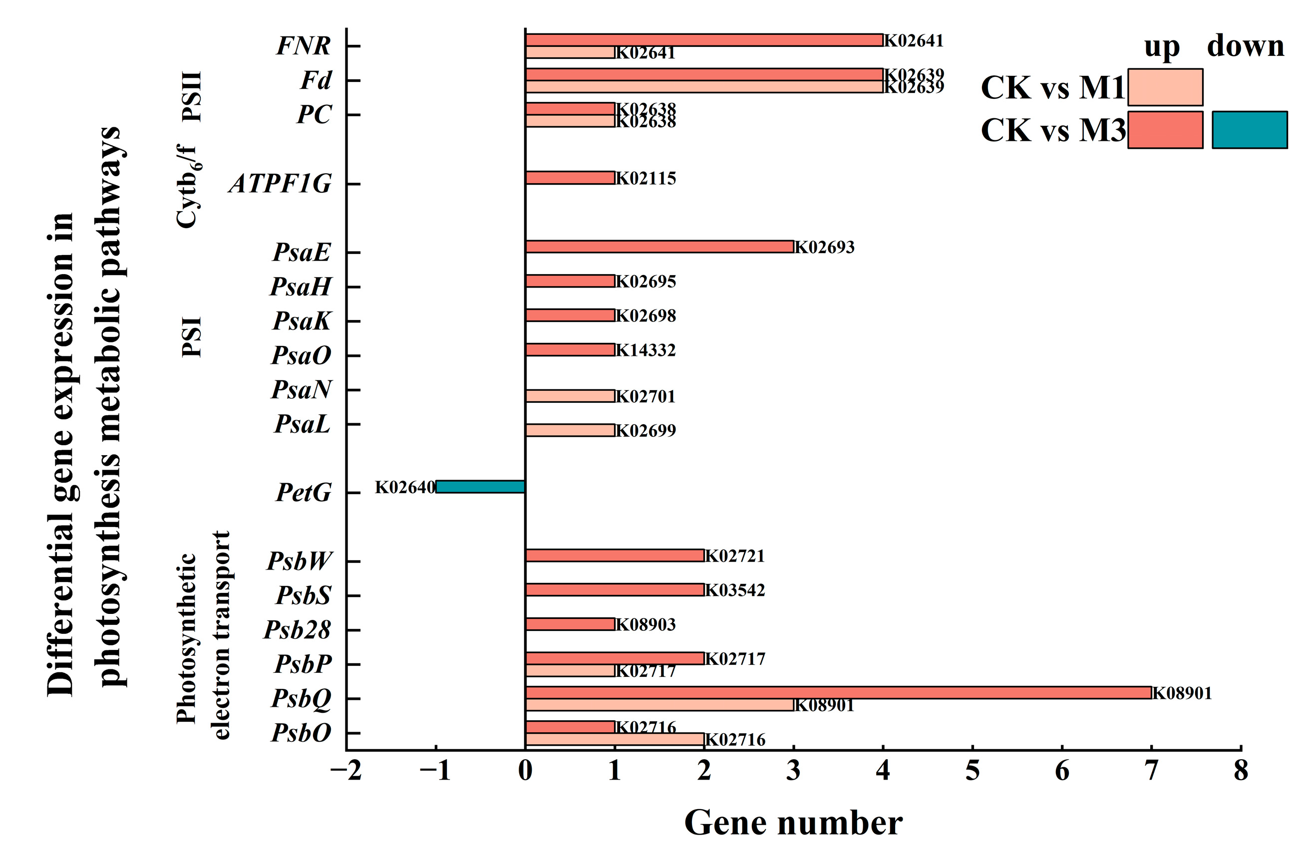 Ijms 26 07824 g008 Ijms 26 07824 g008