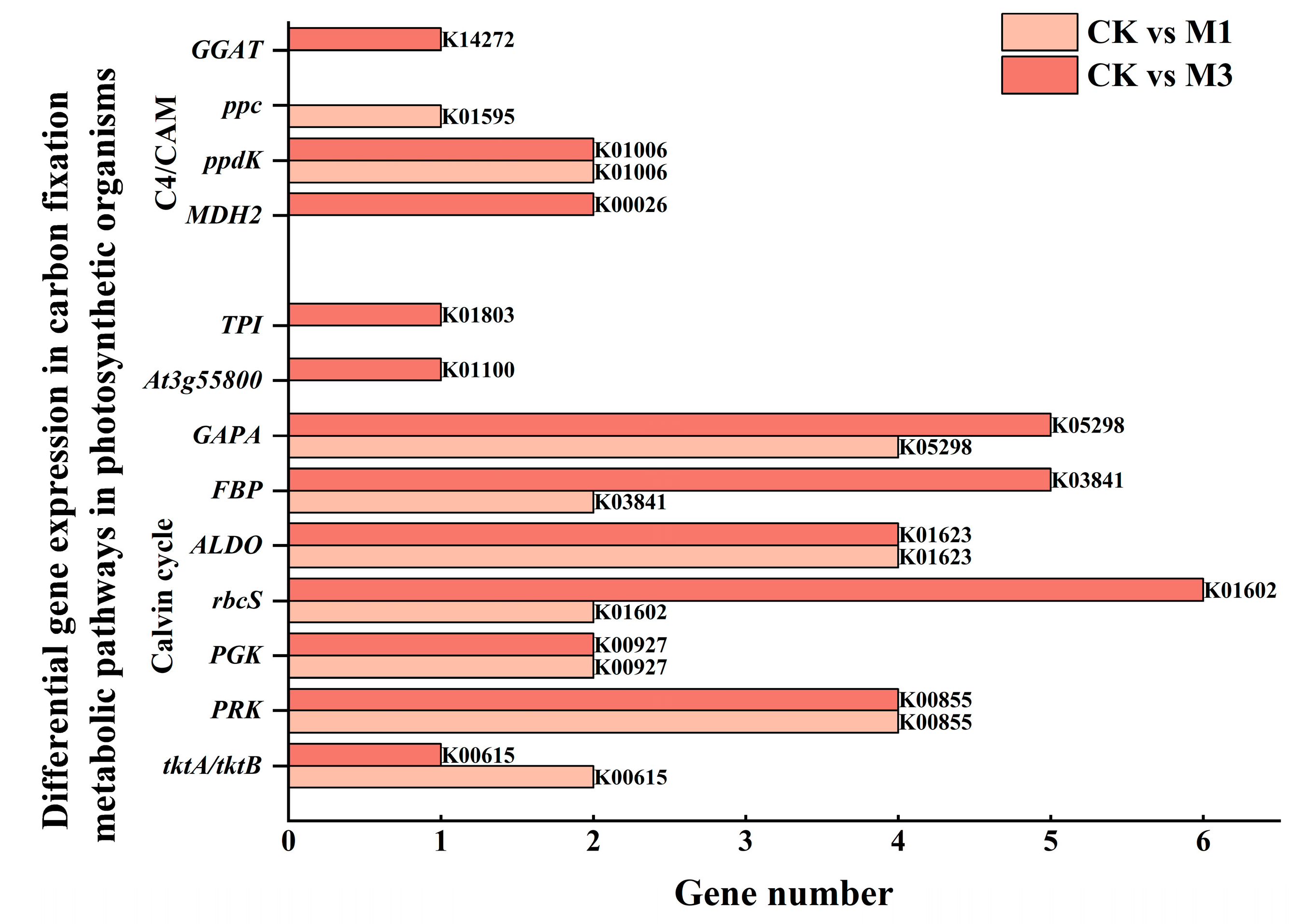 Ijms 26 07824 g009 Ijms 26 07824 g009