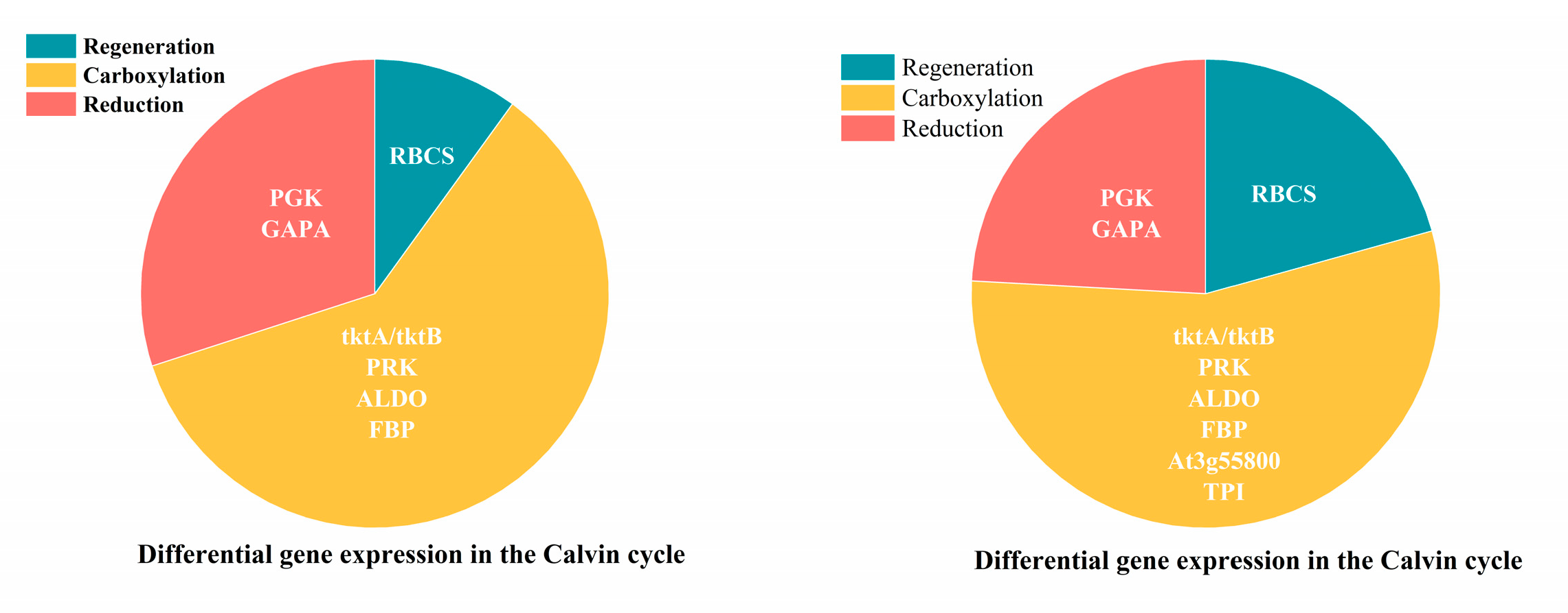 Ijms 26 07824 g010 Ijms 26 07824 g010