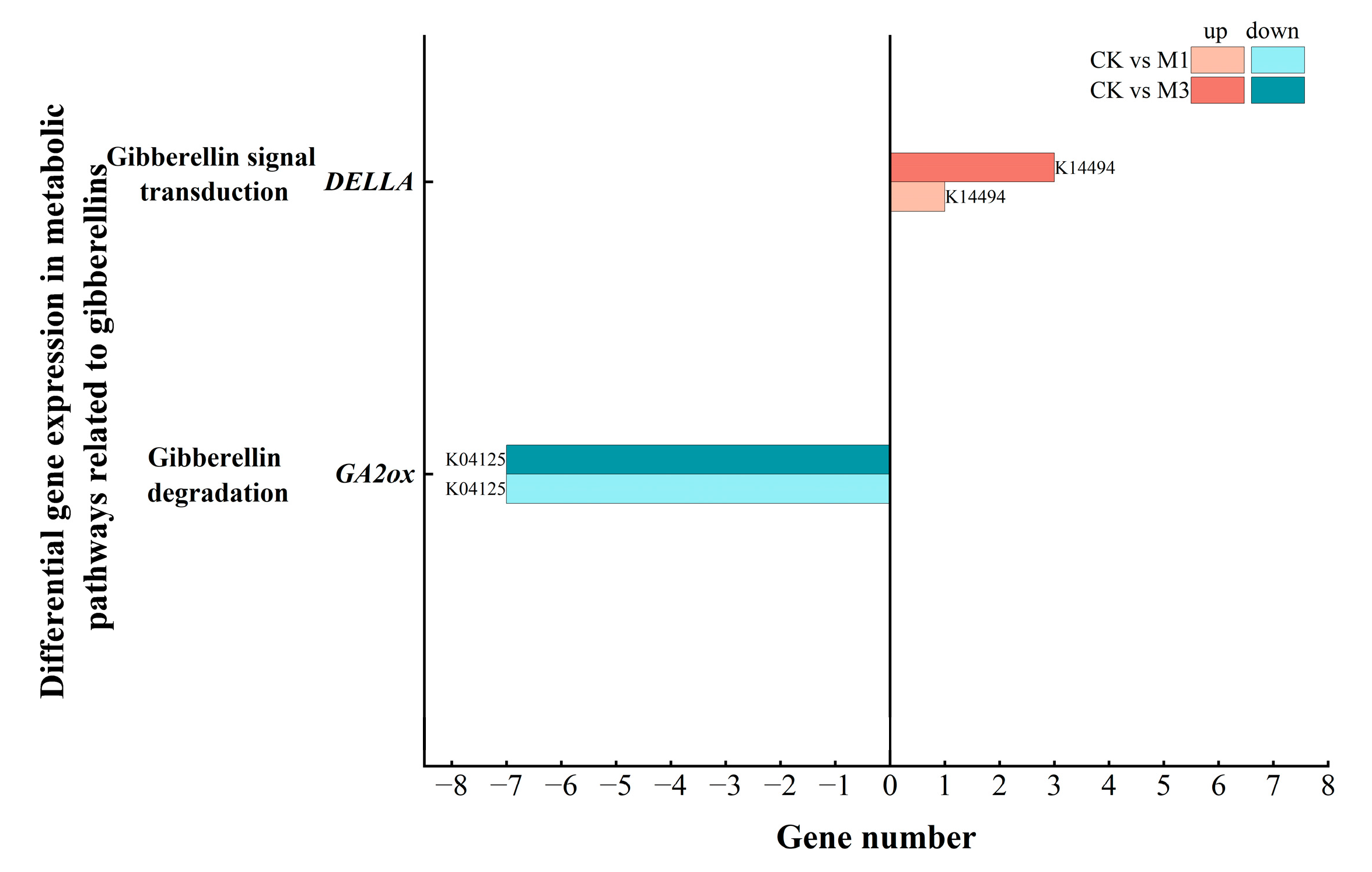 Ijms 26 07824 g013 Ijms 26 07824 g013